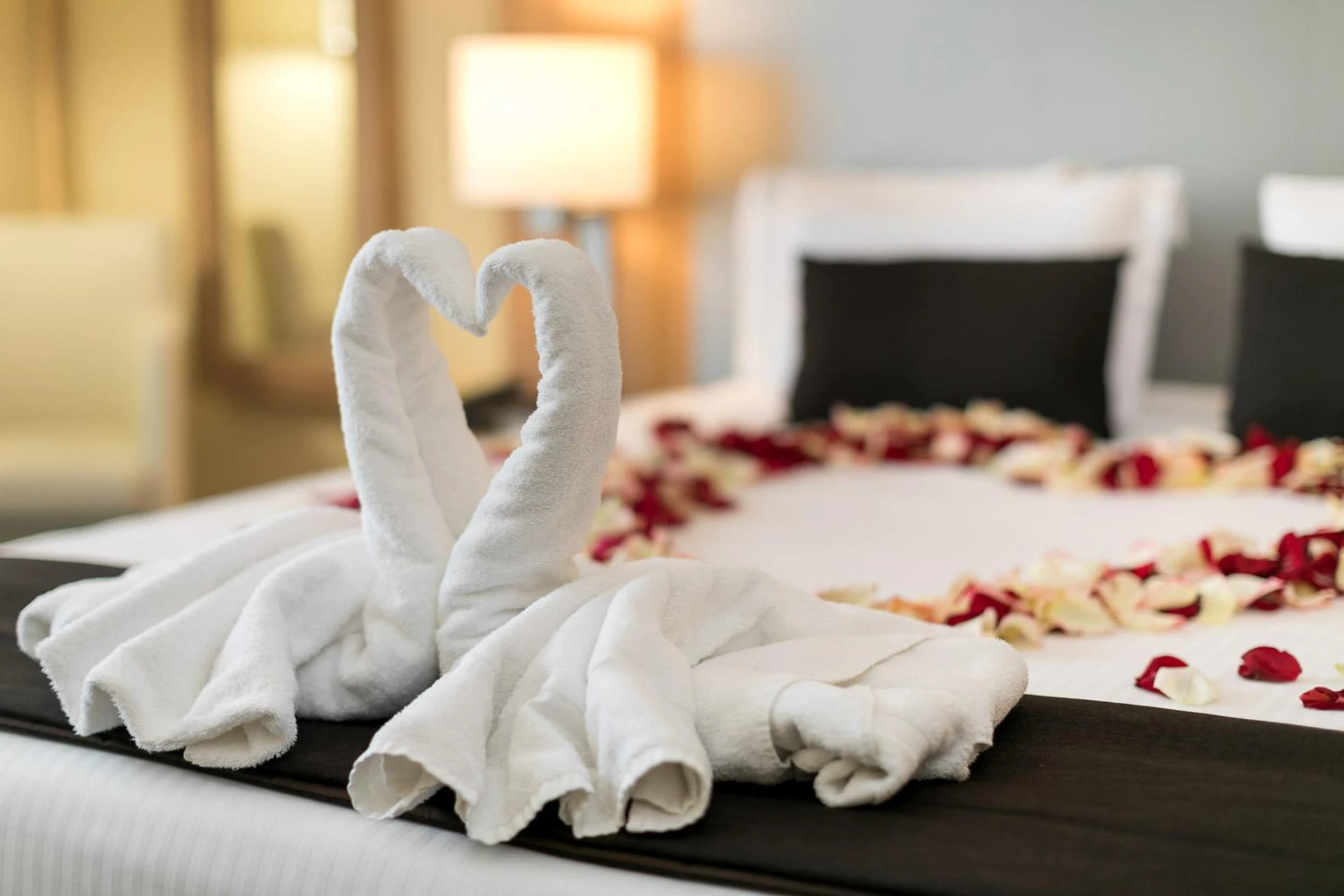 Chambre disponible pour un séminaire d'entreprise à 7Hotel&Spa - Illkirch-Graffenstaden