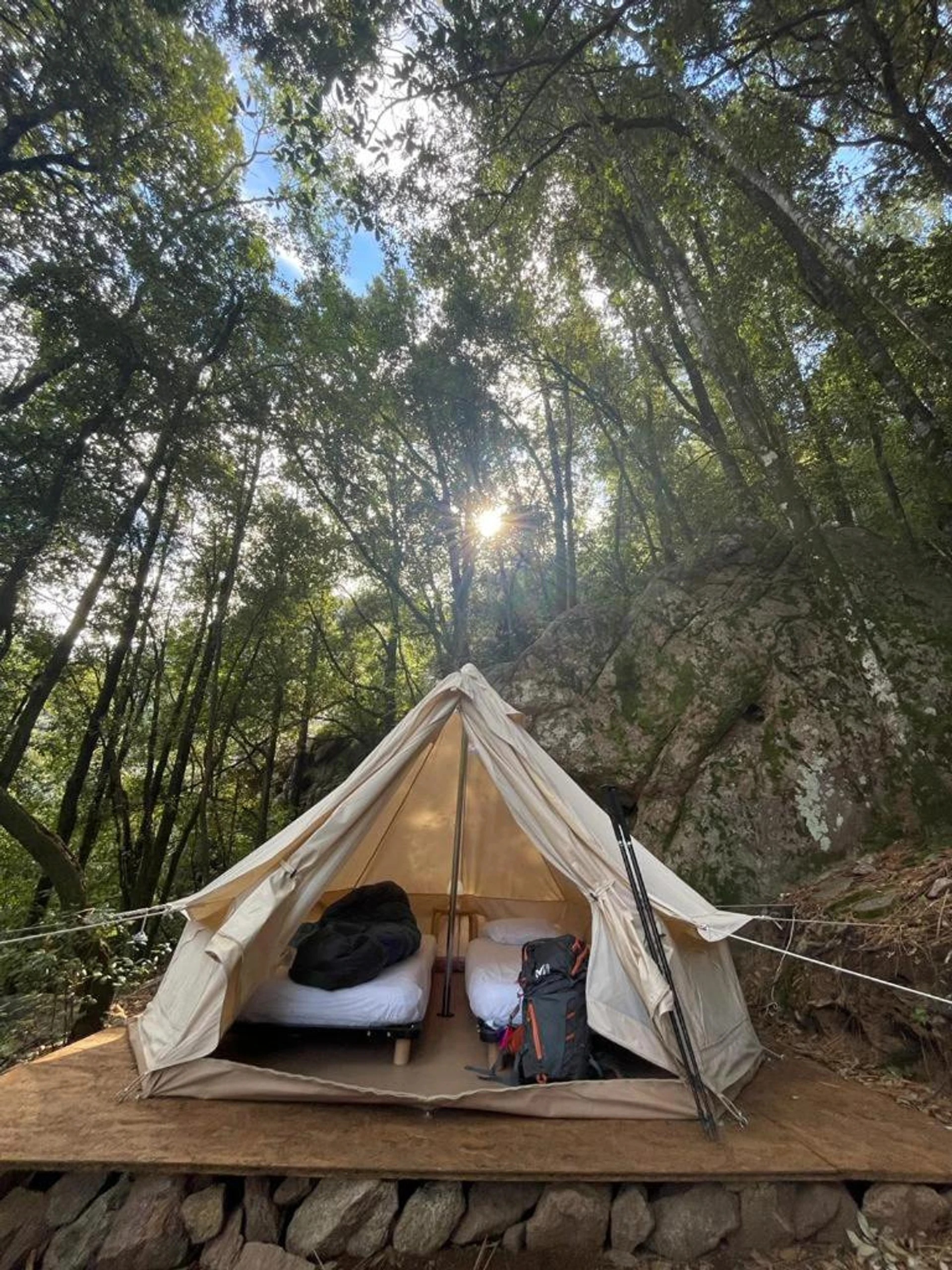 Organiser un séminaire d'entreprise : Auberge De La Foret Bonifatu à calenzana