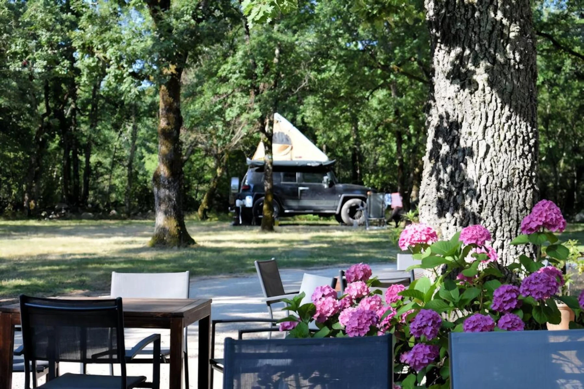 Lieu convivial pour un séminaire d'entreprise à Lodges du Bois Dodo - ancien Camping de Bois Redon - Septfonds - En savoir plus 