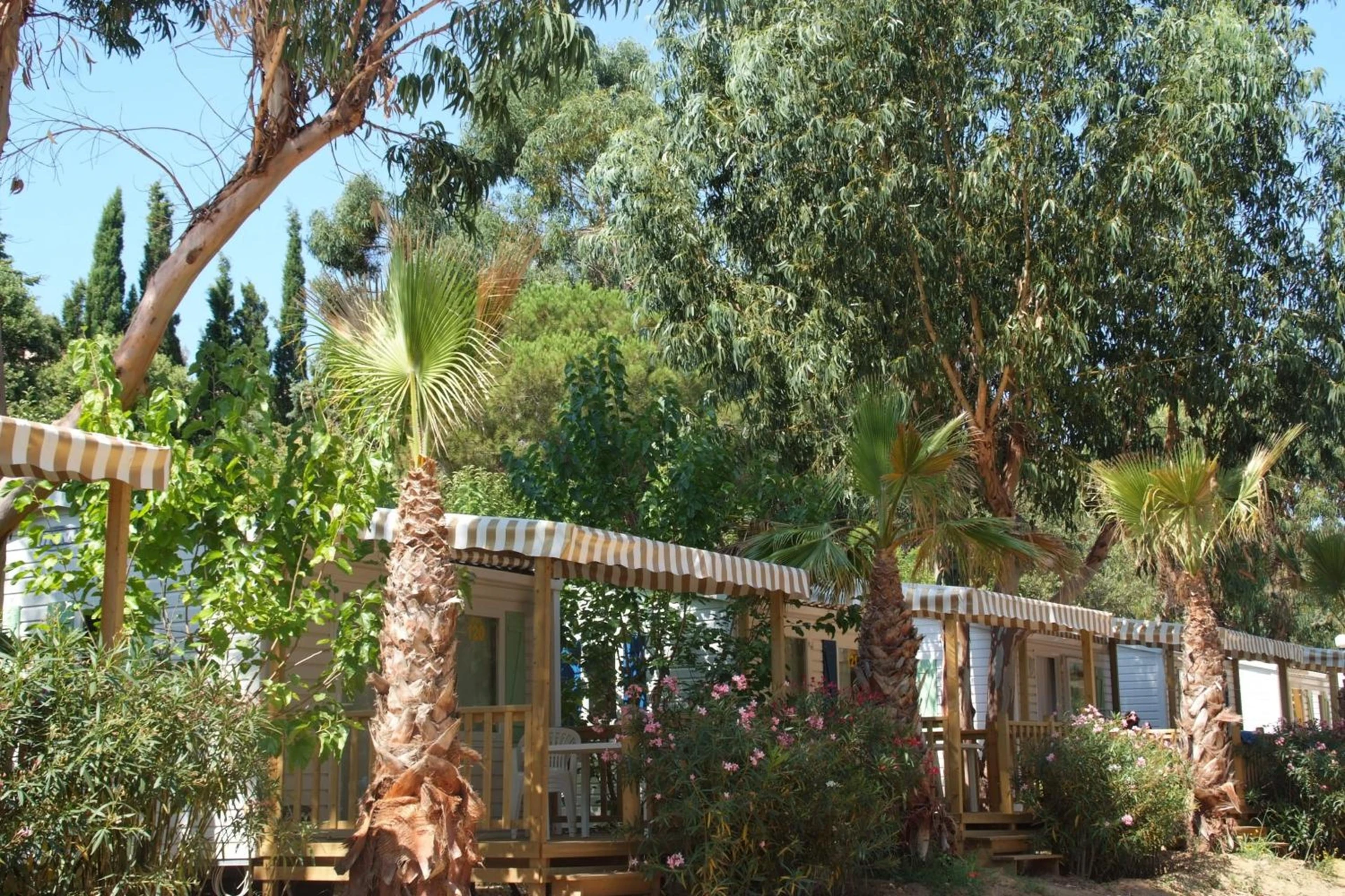 Organiser un séminaire d'entreprise : Camping de la Baie à cavalaire-sur-mer