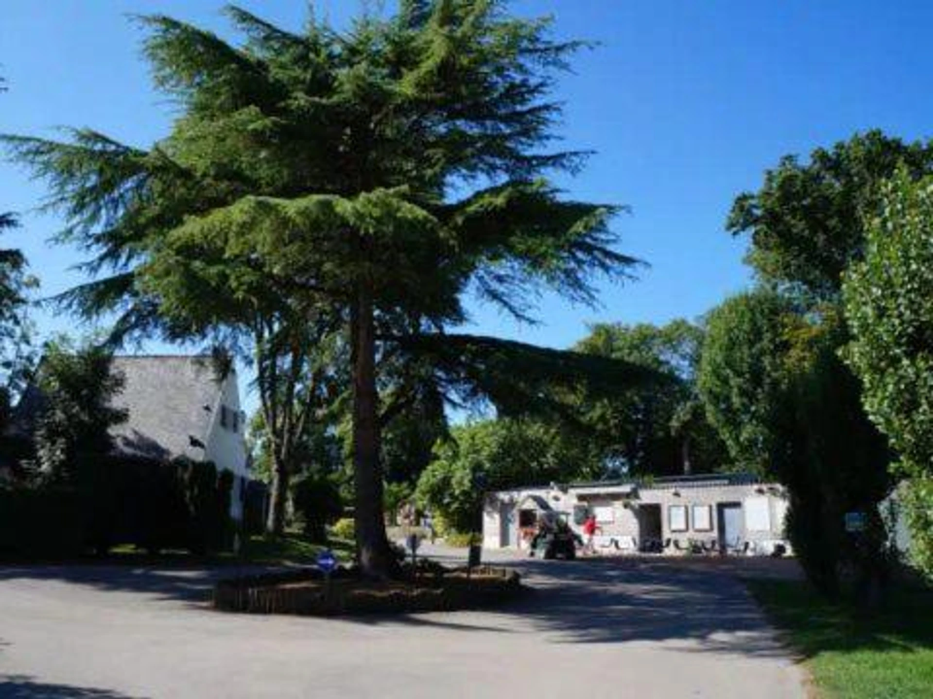Organiser un séminaire d'entreprise : Mobil Home XXL 4 chambres - Camping du Quinquis à clohars-carnoet