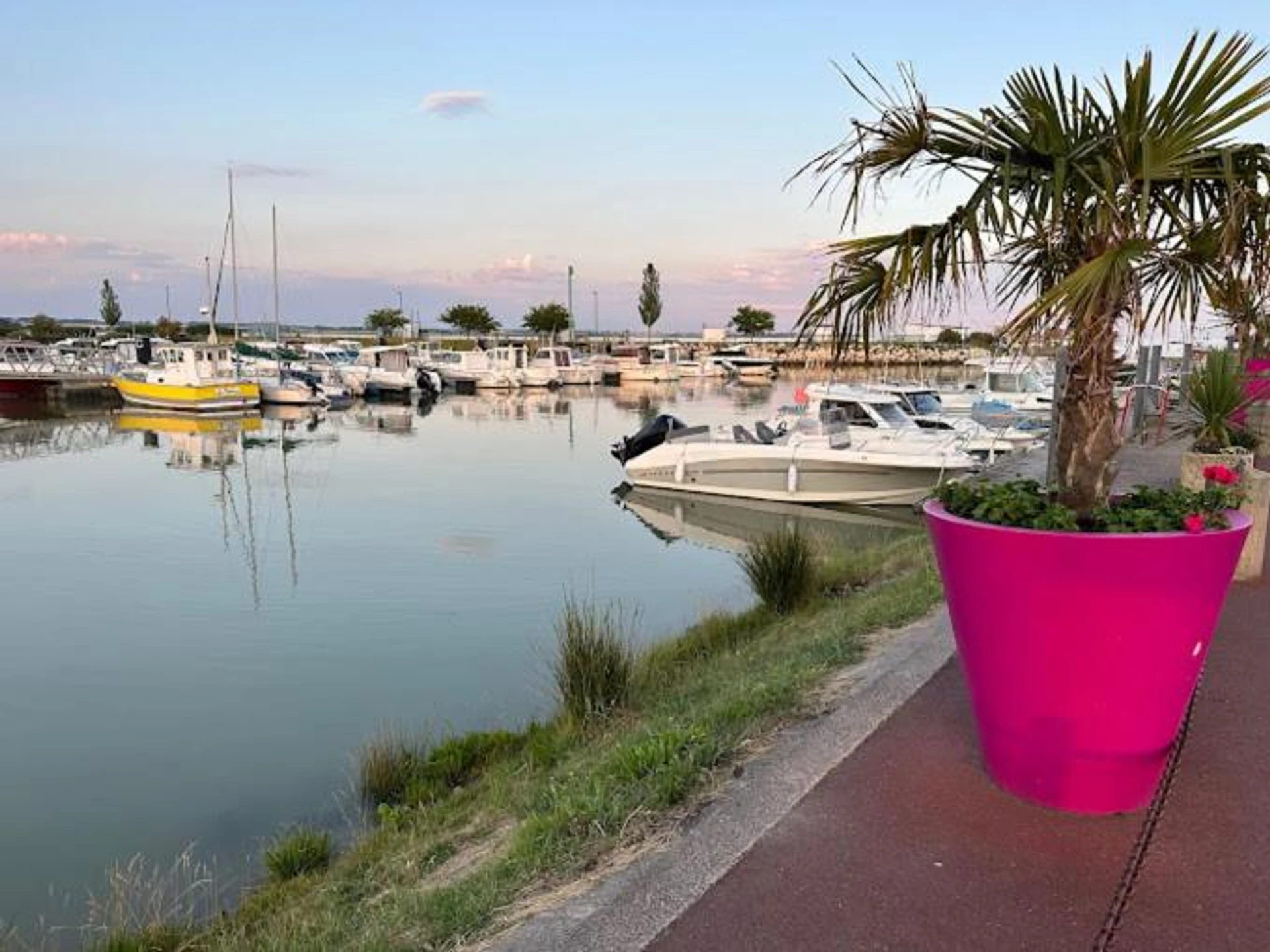 Organiser un séminaire d'entreprise : Mobil Home à Meschers au camping l'Escale proche de Royan à meschers-sur-gironde