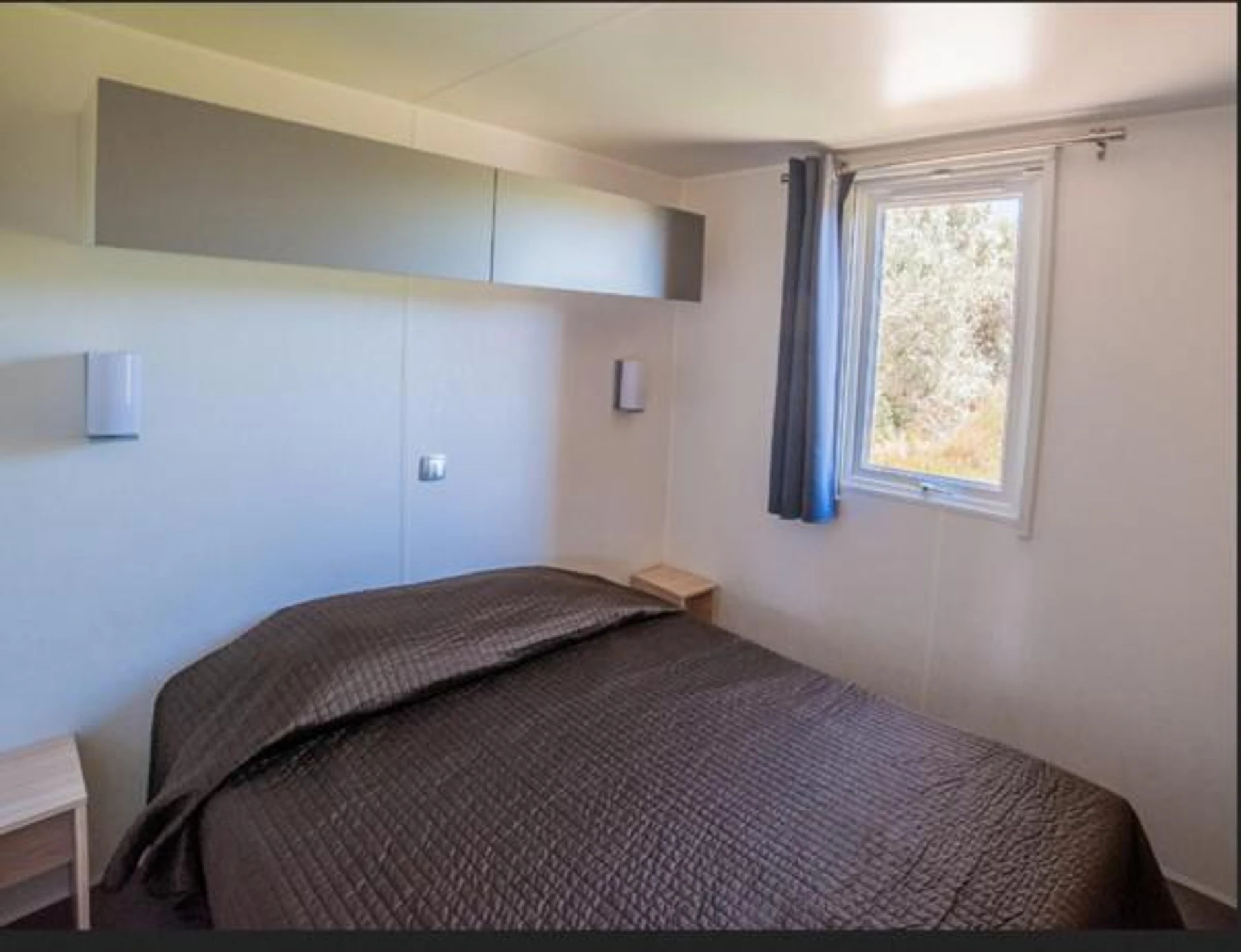 Lieu convivial pour un séminaire d'entreprise à Camping La Brise de Camargue - Les Saintes-Maries-de-la-Mer - En savoir plus 