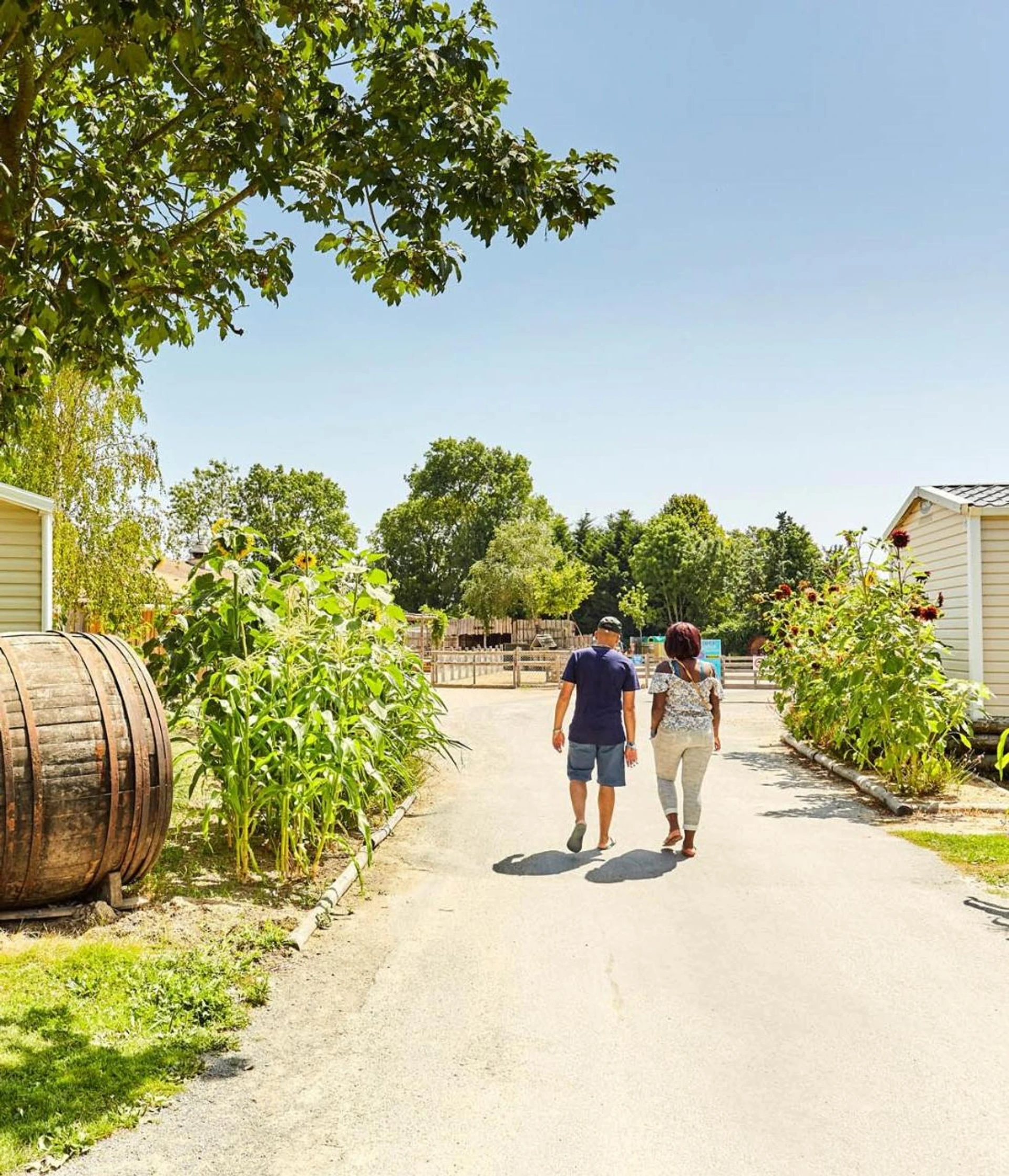 Lieu convivial pour un séminaire d'entreprise à Camping Paradis La Grand'Métairie - Saint-Hilaire-la-Forêt - En savoir plus 