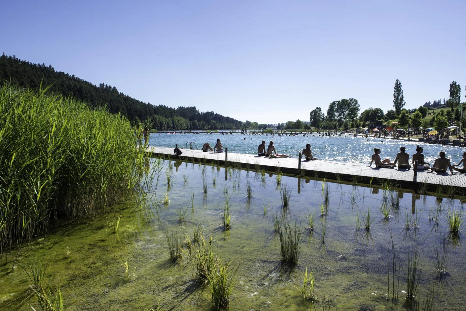 Organiser un séminaire d'entreprise : Camping Le Lac des Sapins à cublize