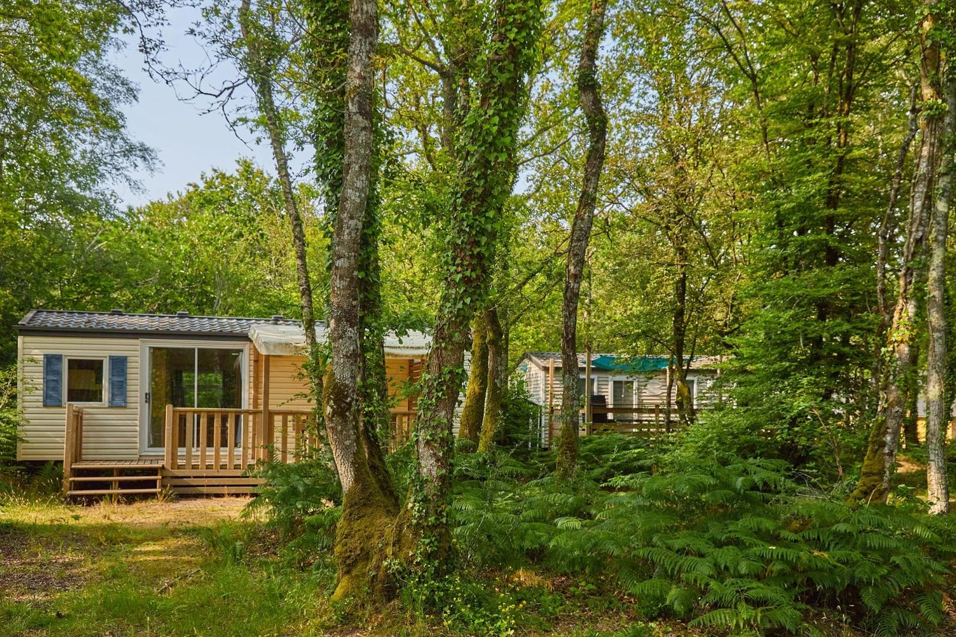 Organiser un séminaire d'entreprise : Camping Le Bois de Pleuven à saint-yvi