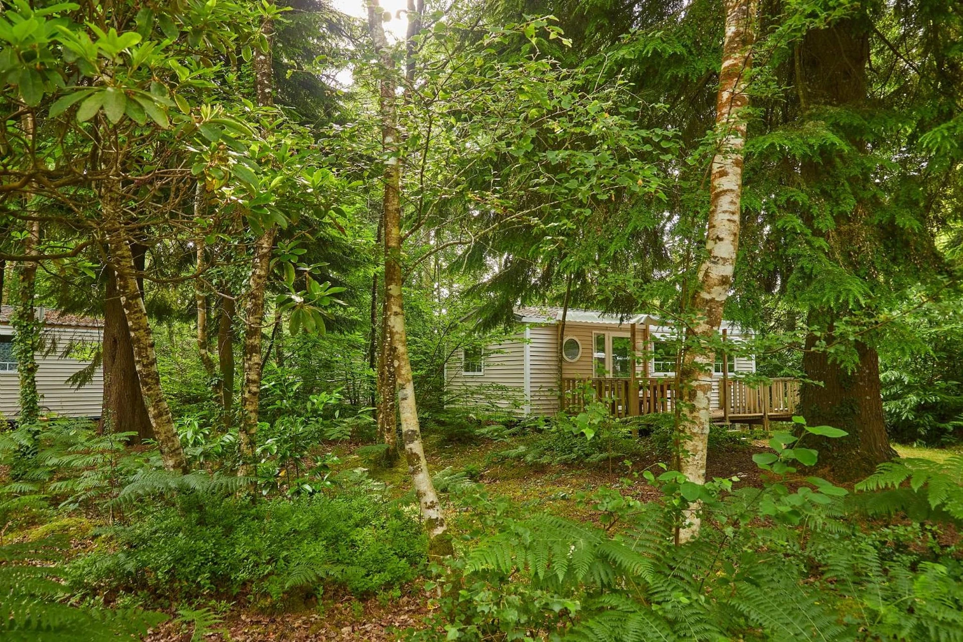 Organiser un séminaire d'entreprise : Camping Le Bois de Pleuven à saint-yvi