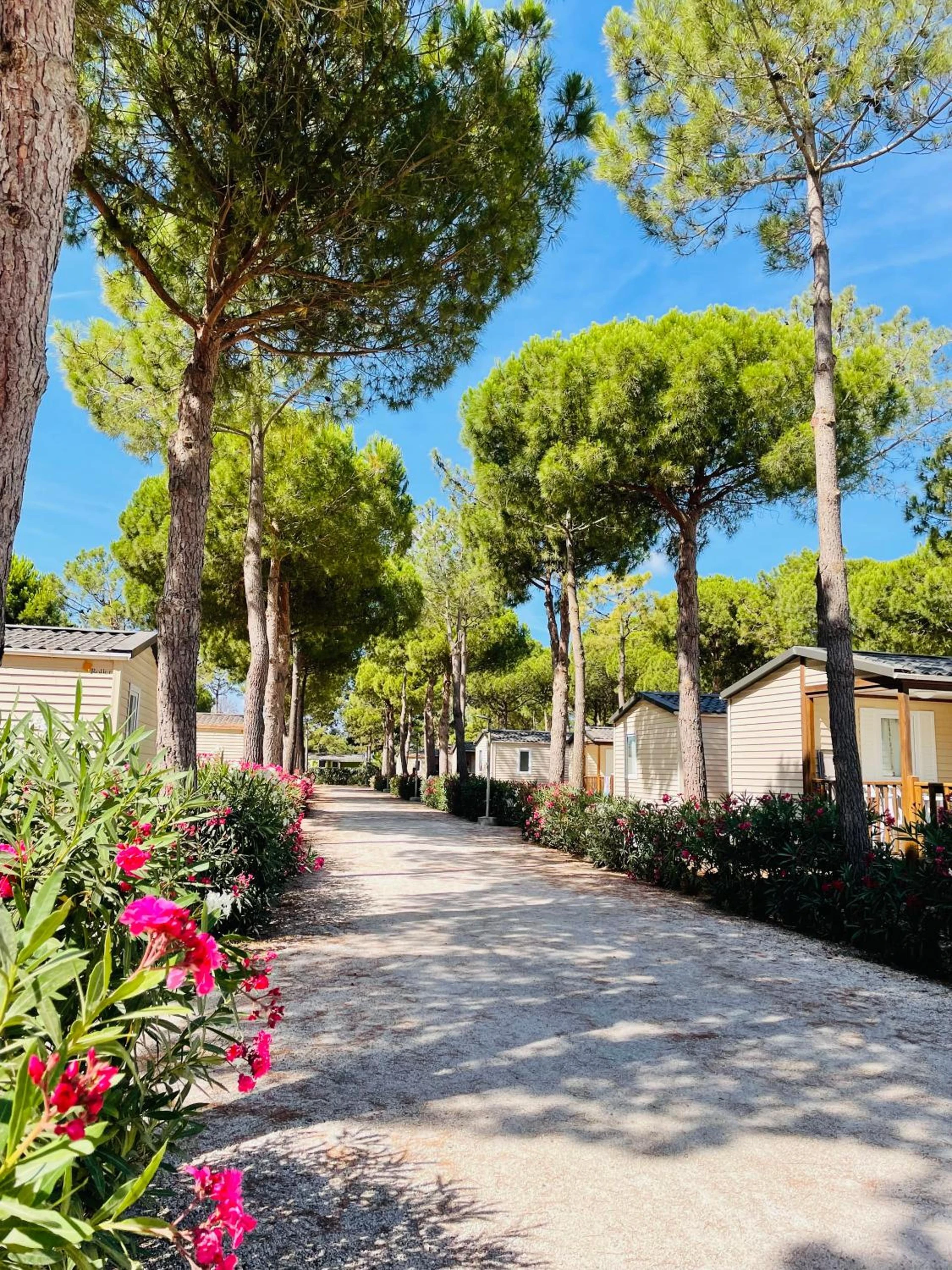Chambre à Camping Le Calypso 5 étoiles - Organiser un séminaire d'entreprise à Torreilles