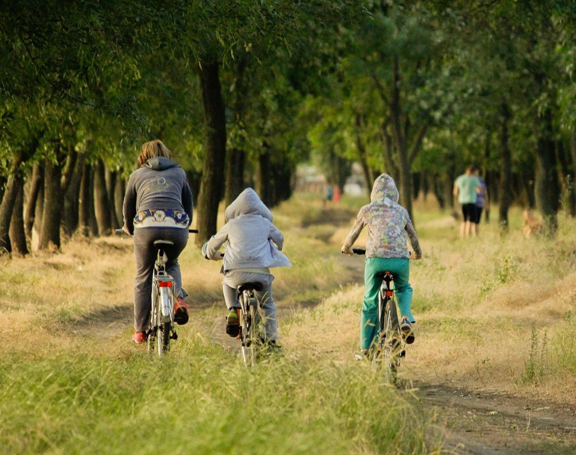 Organiser un séminaire d'entreprise : Camping maeva Escapades Le Casque Roi à salavas