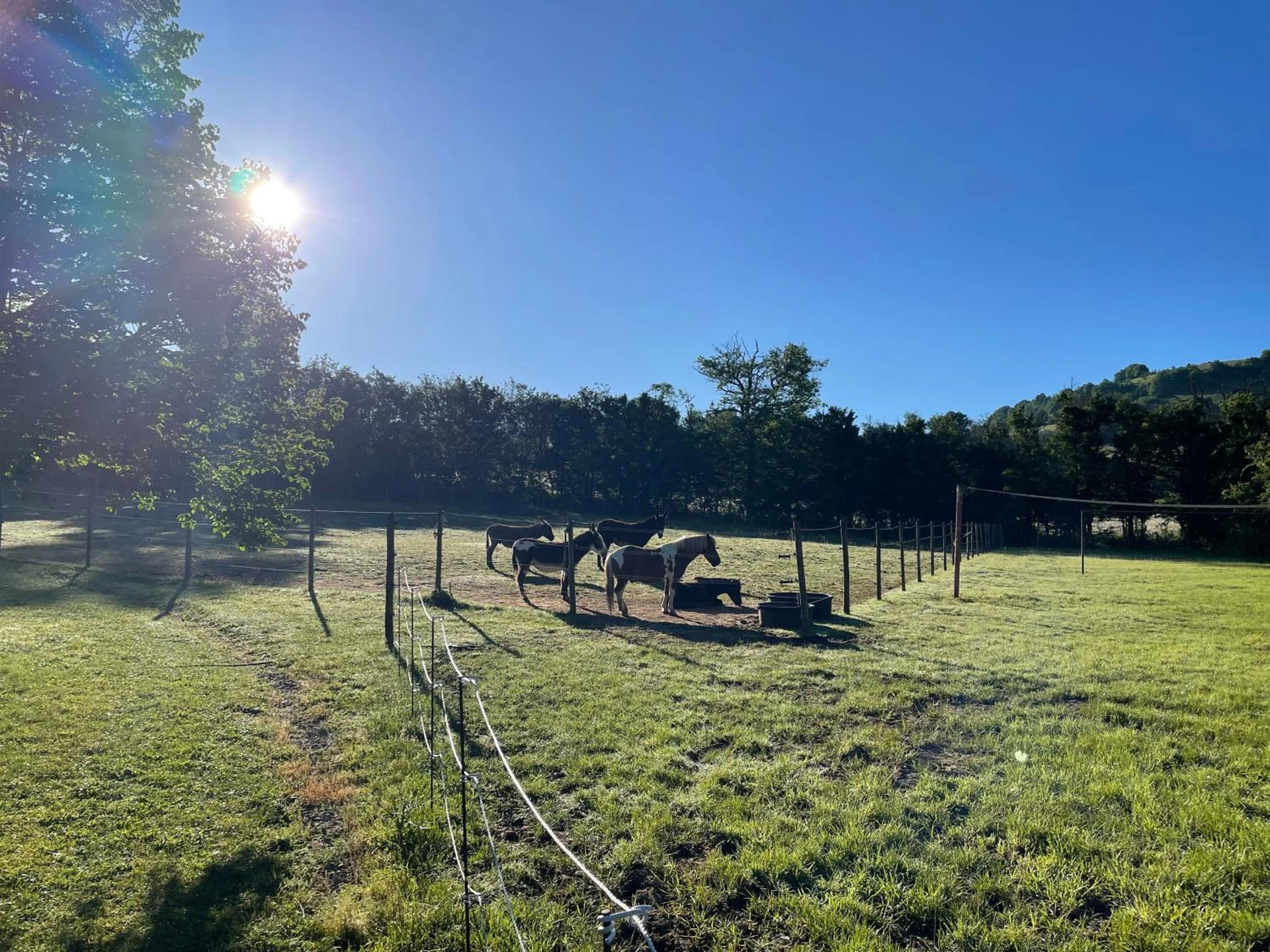 Lieu convivial pour un séminaire d'entreprise à lodge camping le Plo AVEYRON - Sévérac d' Aveyron - En savoir plus 