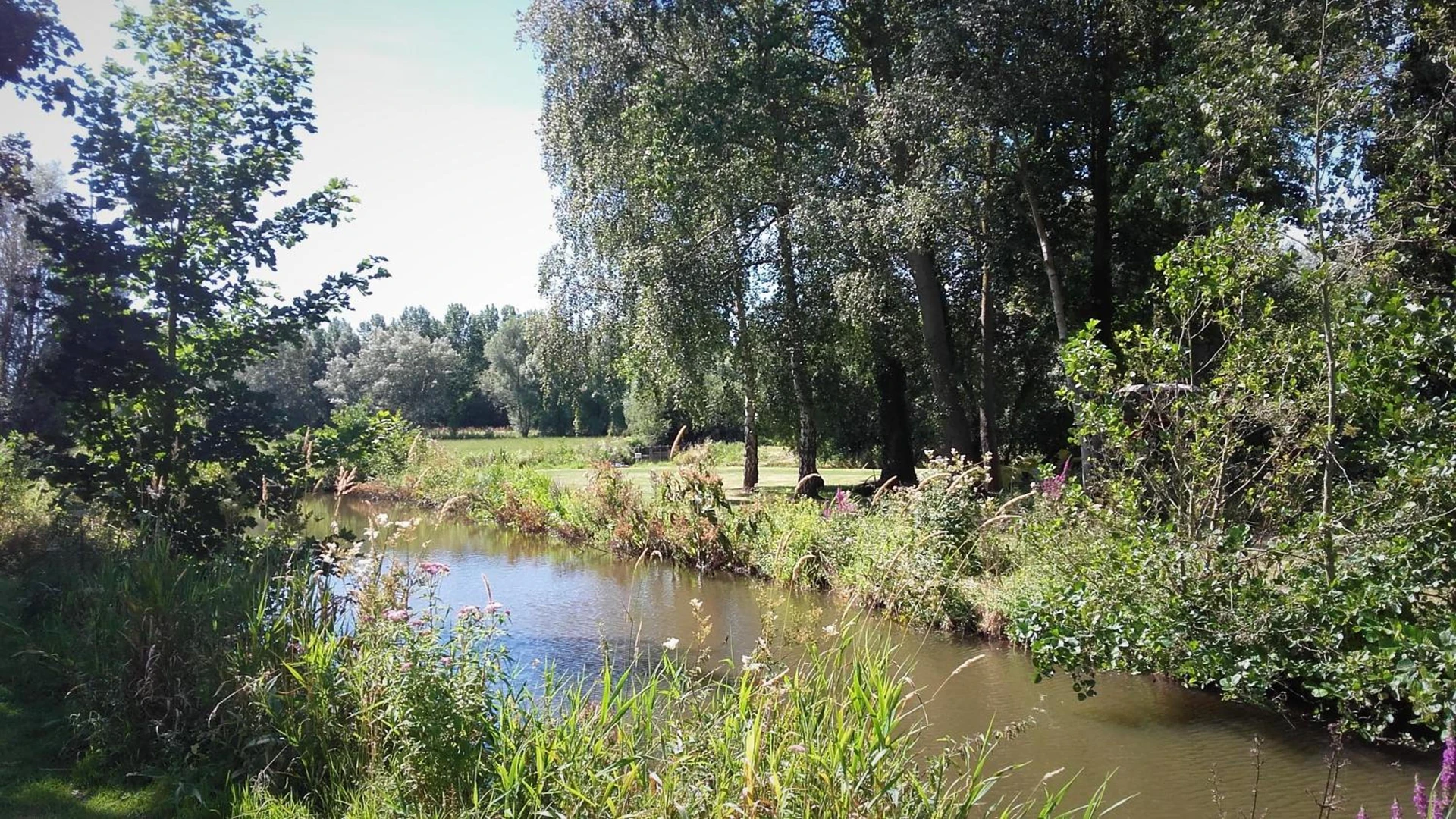 Organiser un séminaire d'entreprise : Camping les Charmilles à houlle