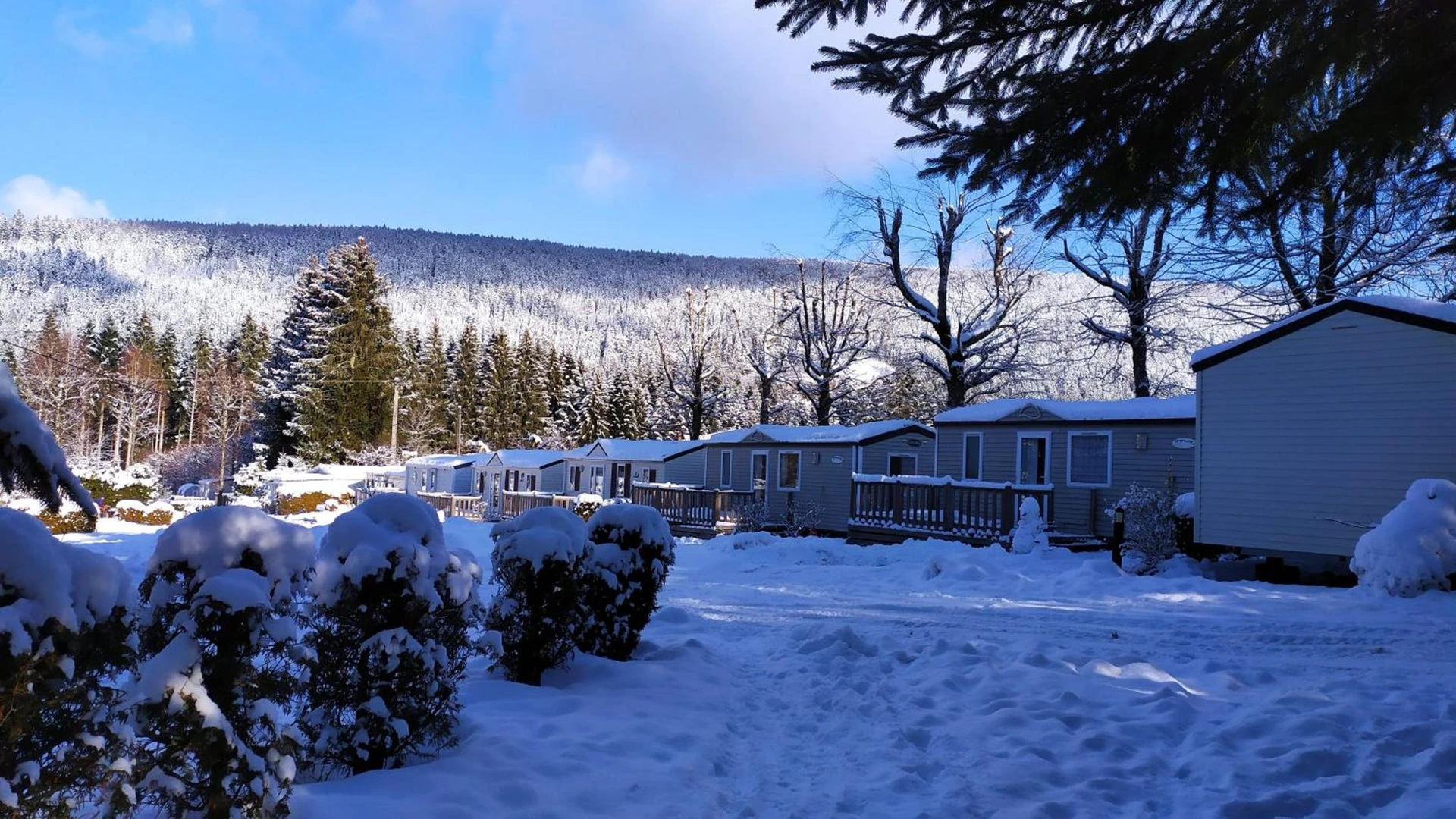 Organiser un séminaire d'entreprise : Camping Les Granges Bas - Tiny House - Lodges - Mobilhomes à gerardmer