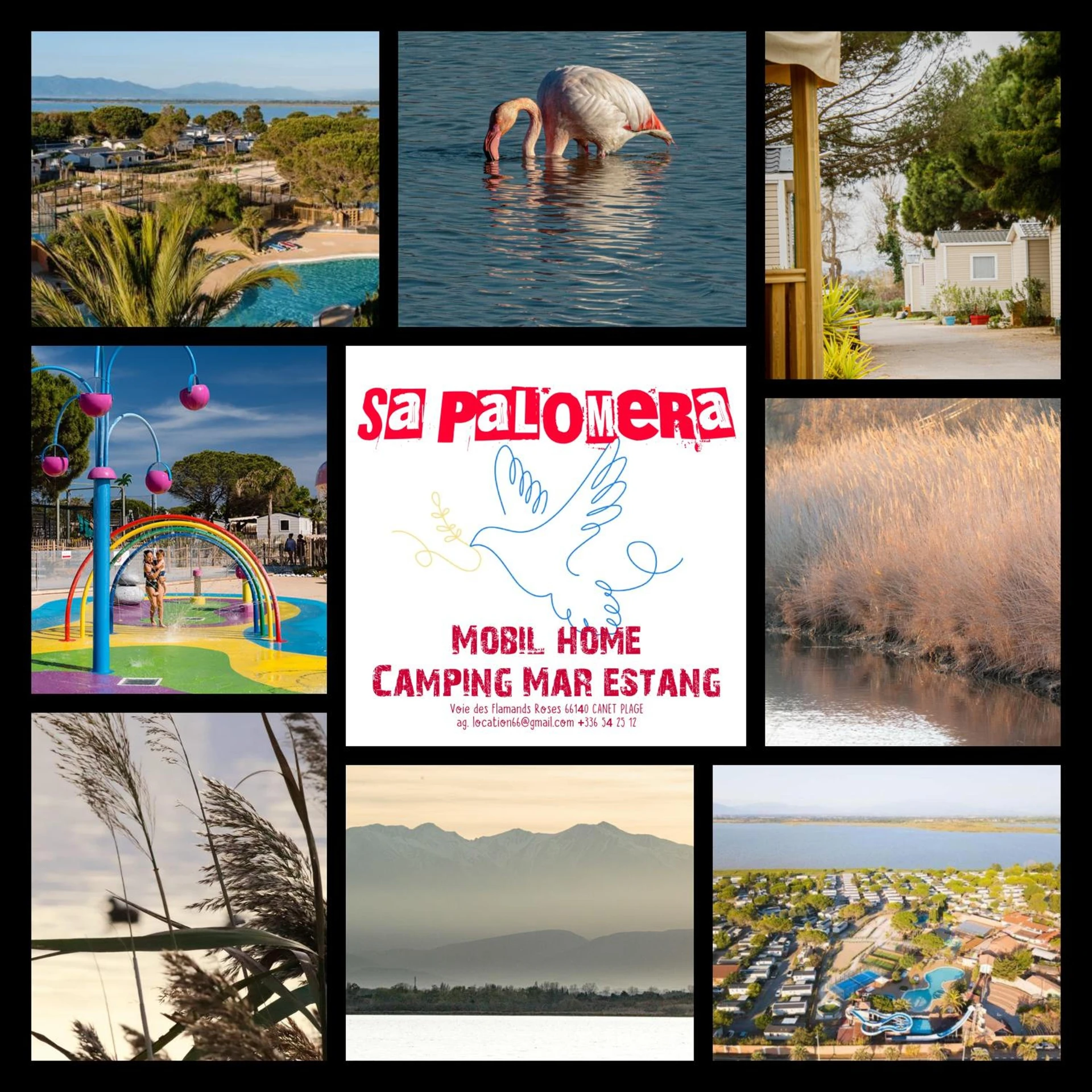 Organiser un séminaire d'entreprise : Mobil Home-Sa Palomera- Camping Mar Estang-Canet en Roussillon 66140 à canet-en-roussillon