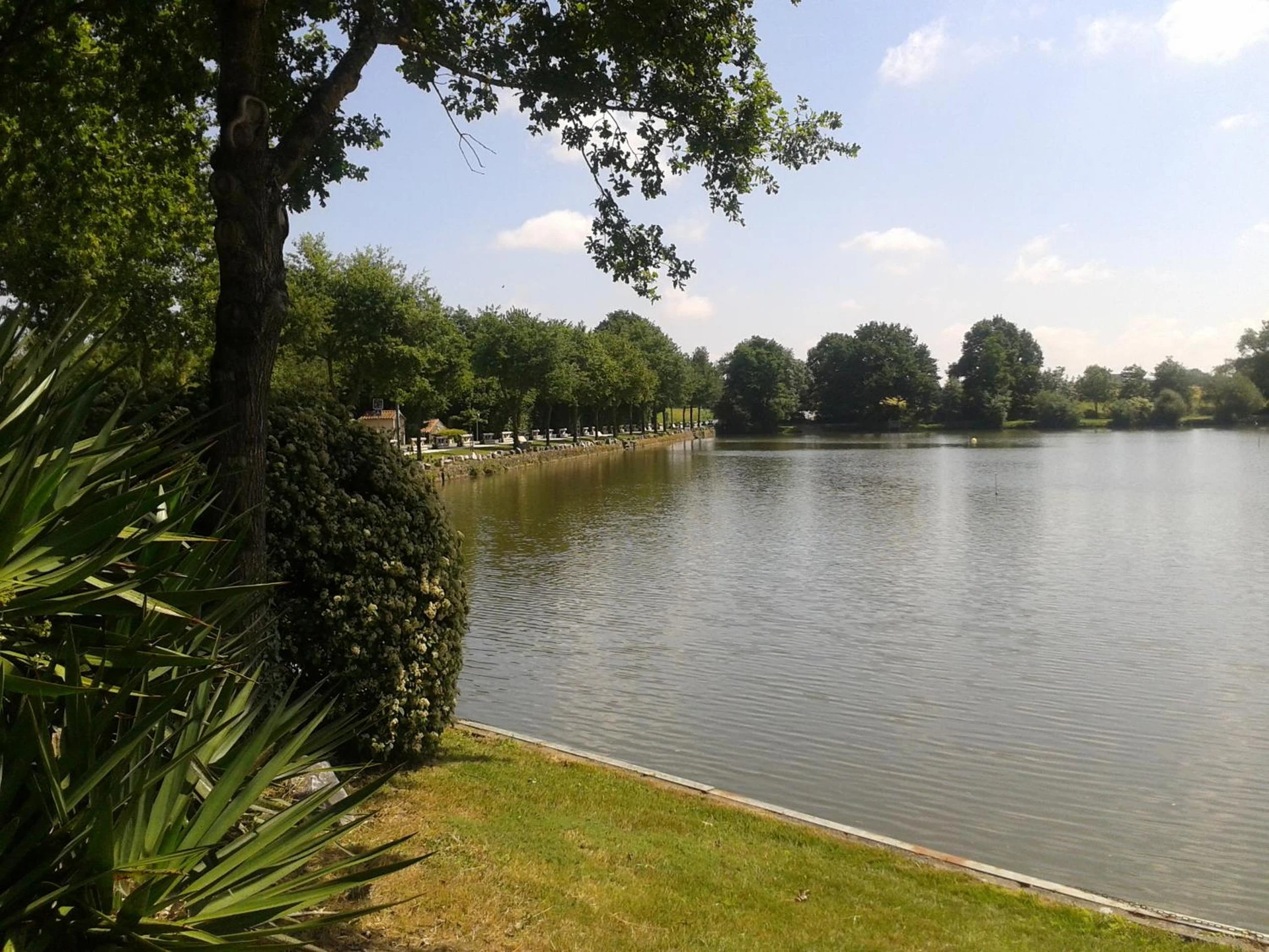 Organiser un séminaire d'entreprise : Camping OAKi à mesnard-la-barotiere