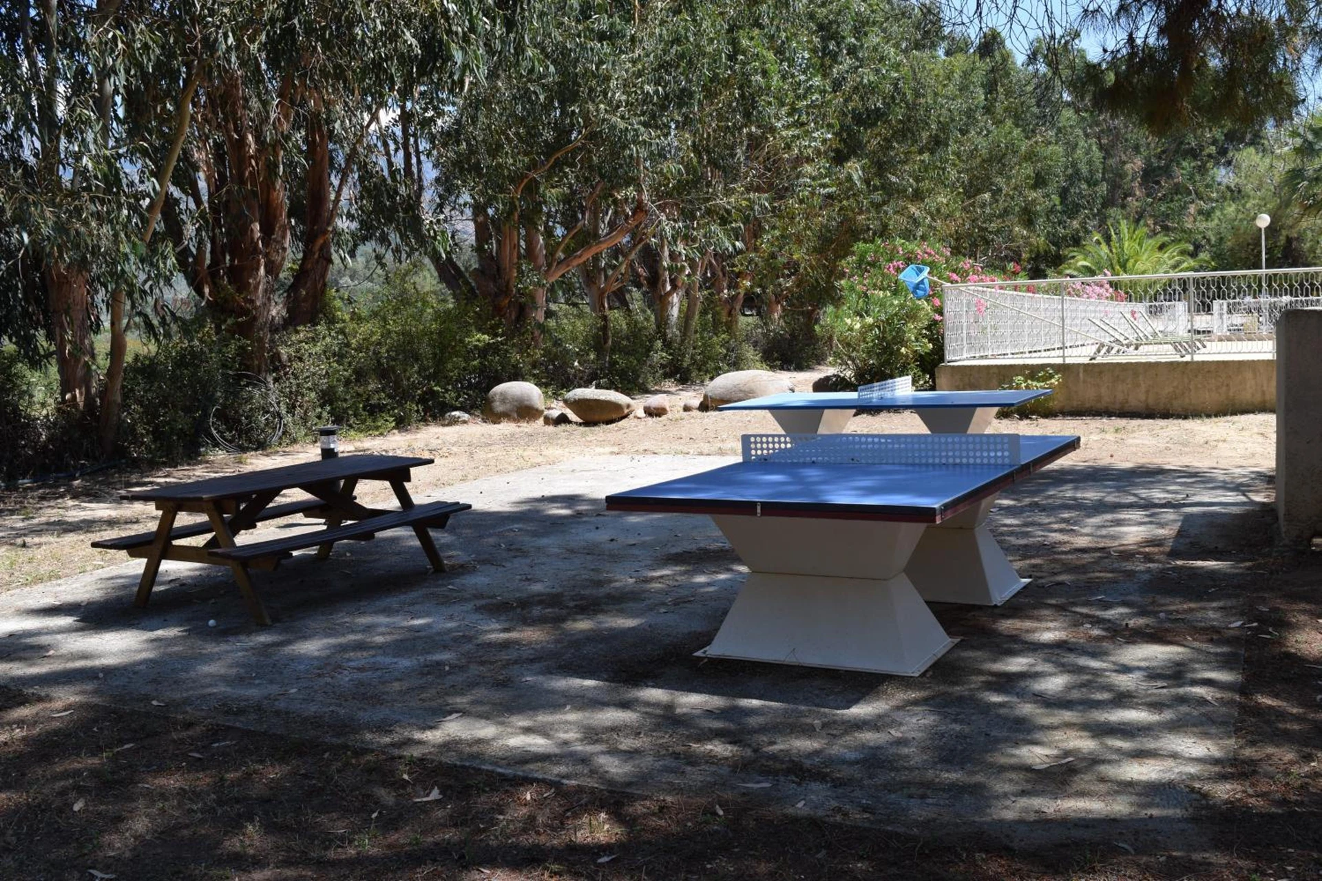 Lieu convivial pour un séminaire d'entreprise à Camping Paradella - Calenzana - En savoir plus 