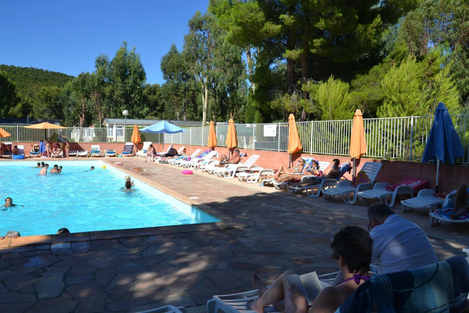 Lieu convivial pour un séminaire d'entreprise à Camping Parc Valrose - La Londe-les-Maures - En savoir plus 