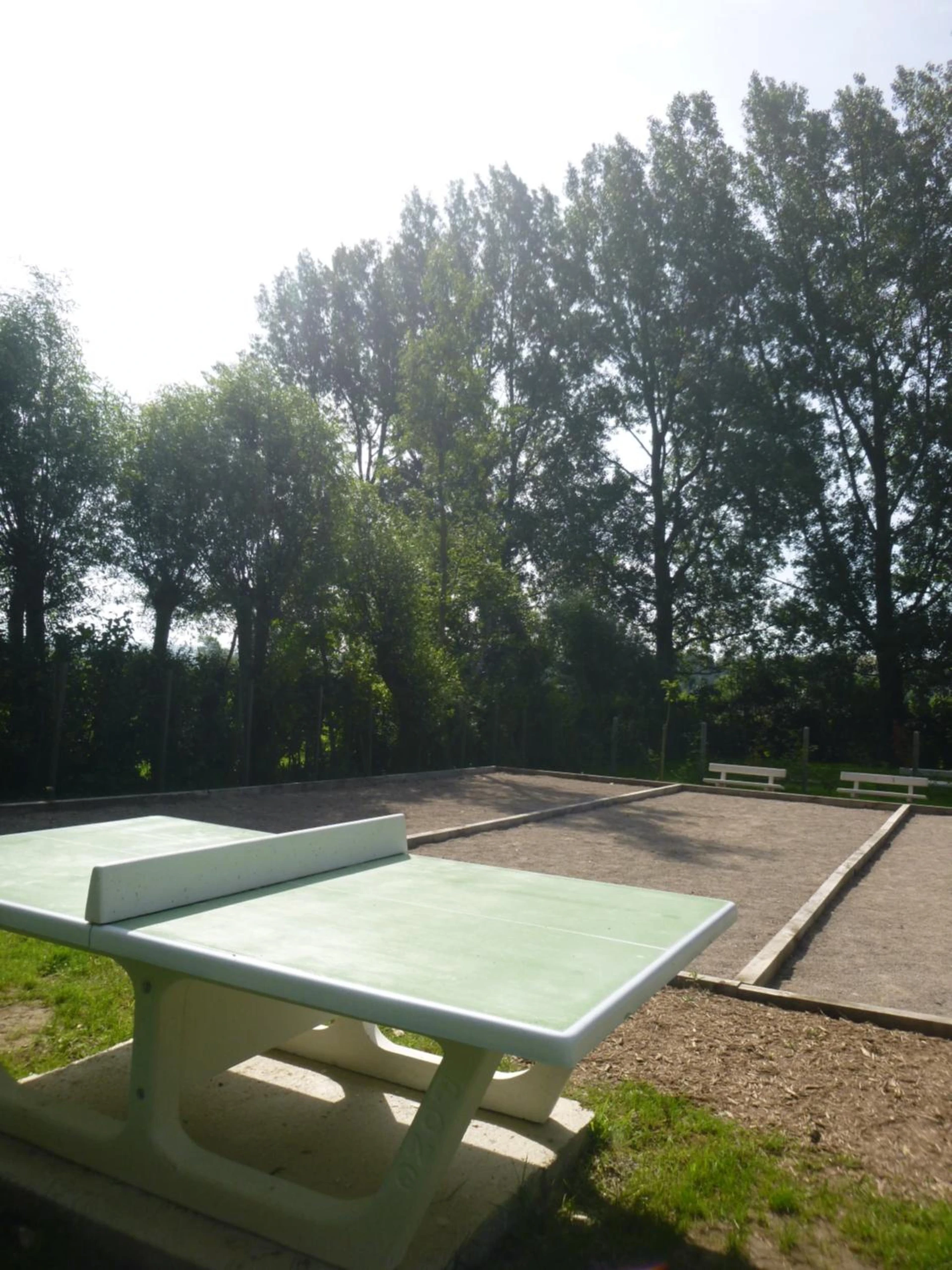 Ambiance de travail pour séminaire d'entreprise à Camping Pommiers des Trois Pays - Licques