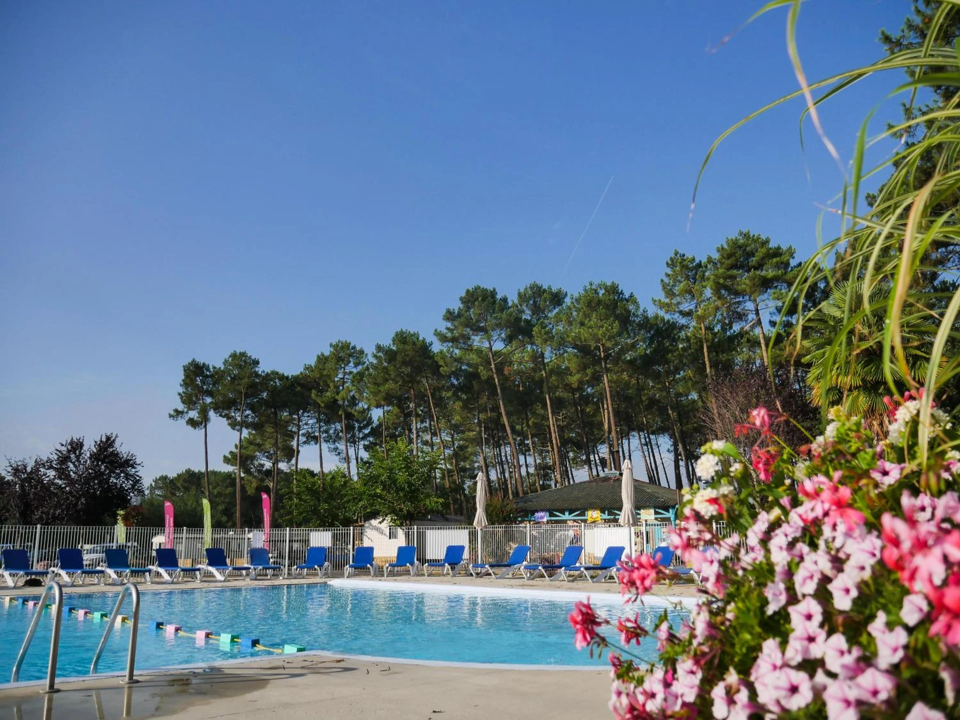 Organiser un séminaire d'entreprise : Camping Officiel Siblu Les Dunes de Contis à tremblay-en-france