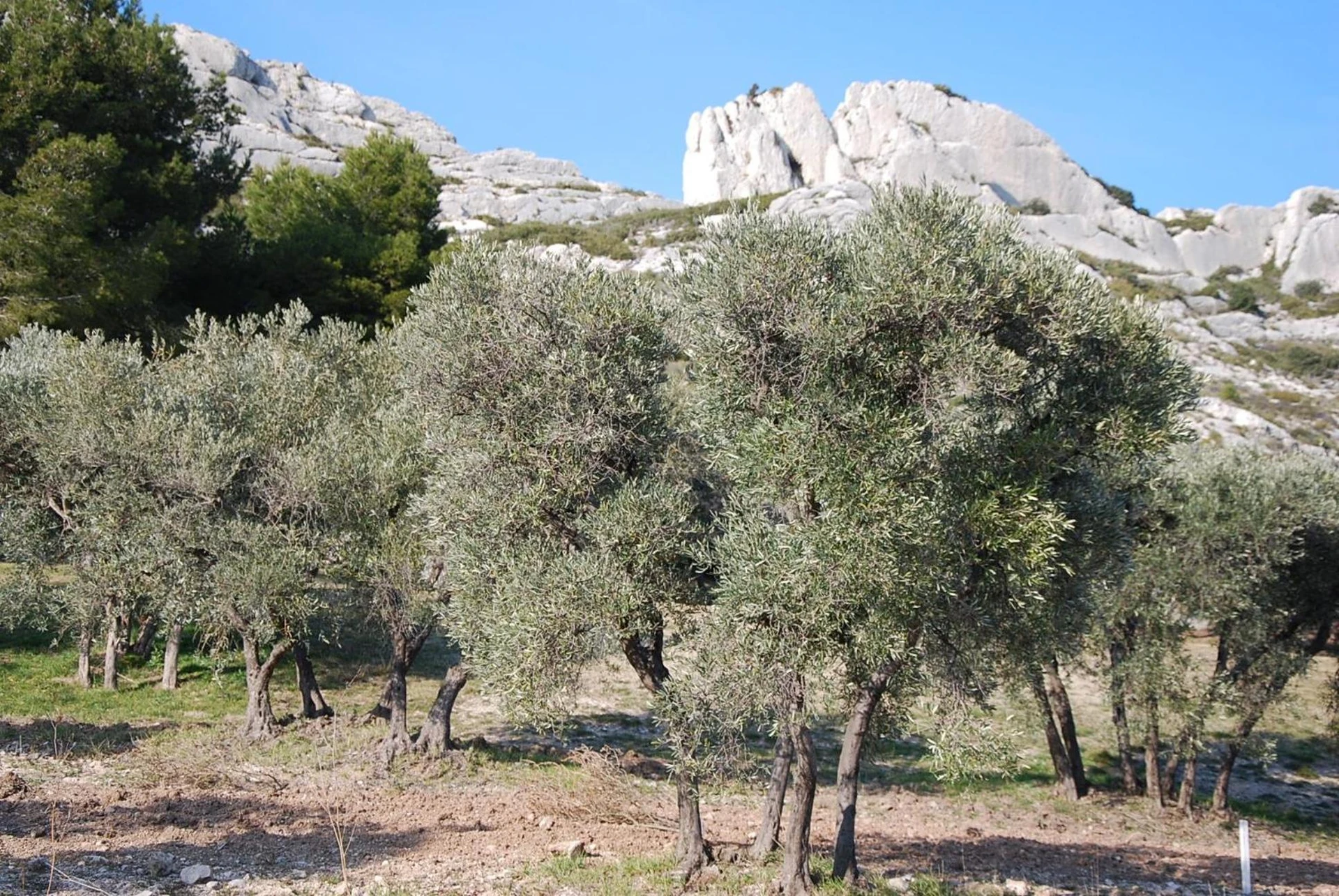 Ambiance de travail pour séminaire d'entreprise à Château de Servanes - Mouriès