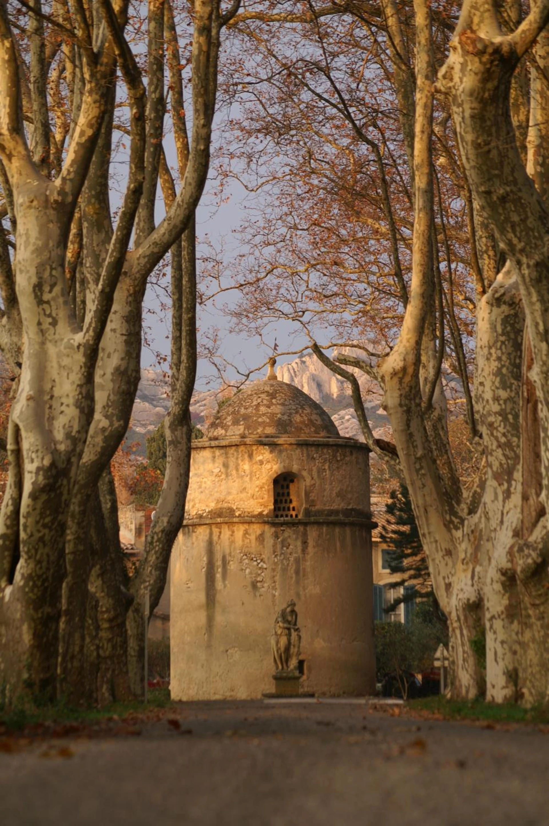 Lieu convivial pour un séminaire d'entreprise à Château de Servanes - Mouriès - En savoir plus 