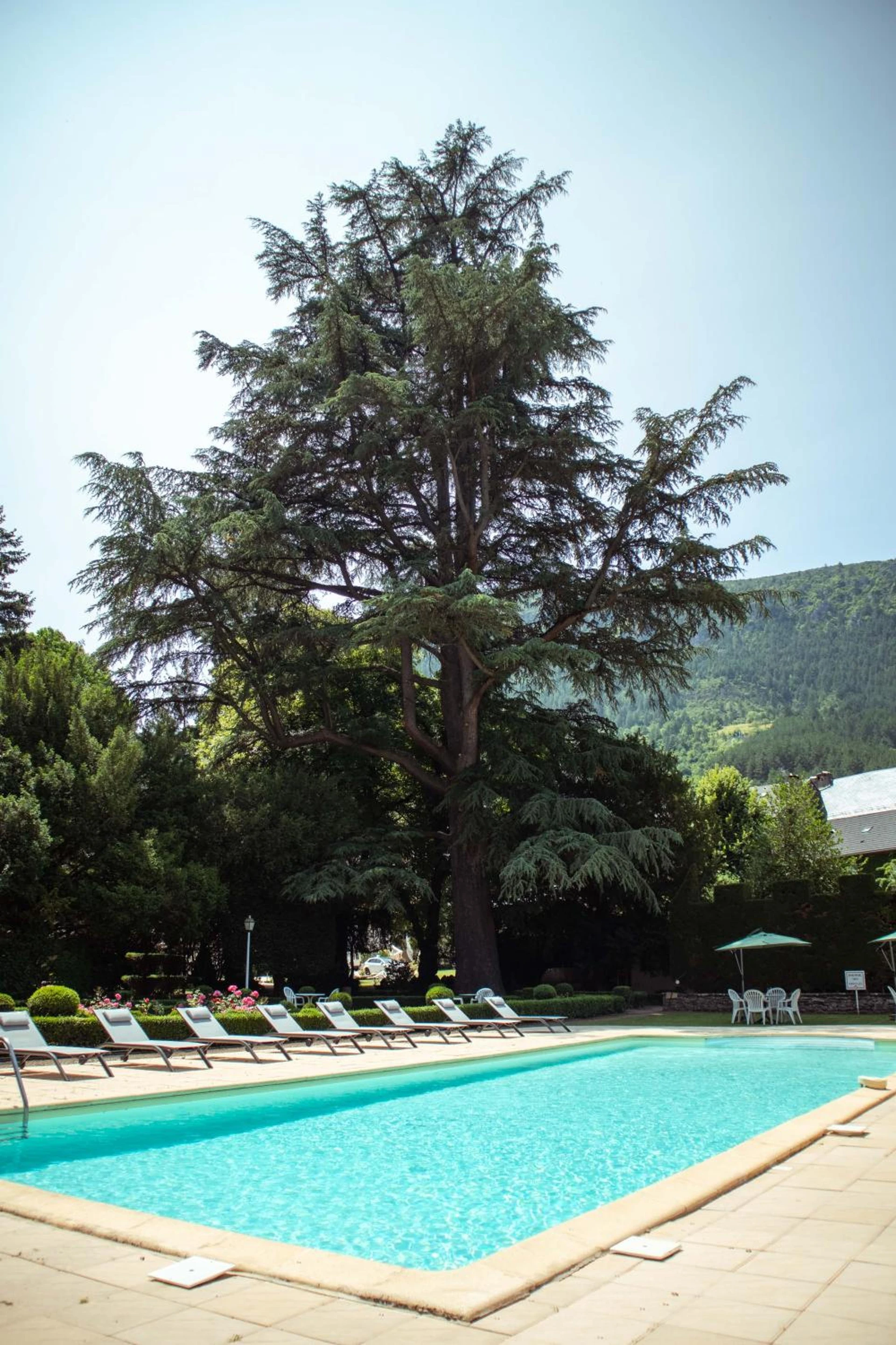 Ambiance de travail pour séminaire d'entreprise à Grand Hôtel du Parc - Florac