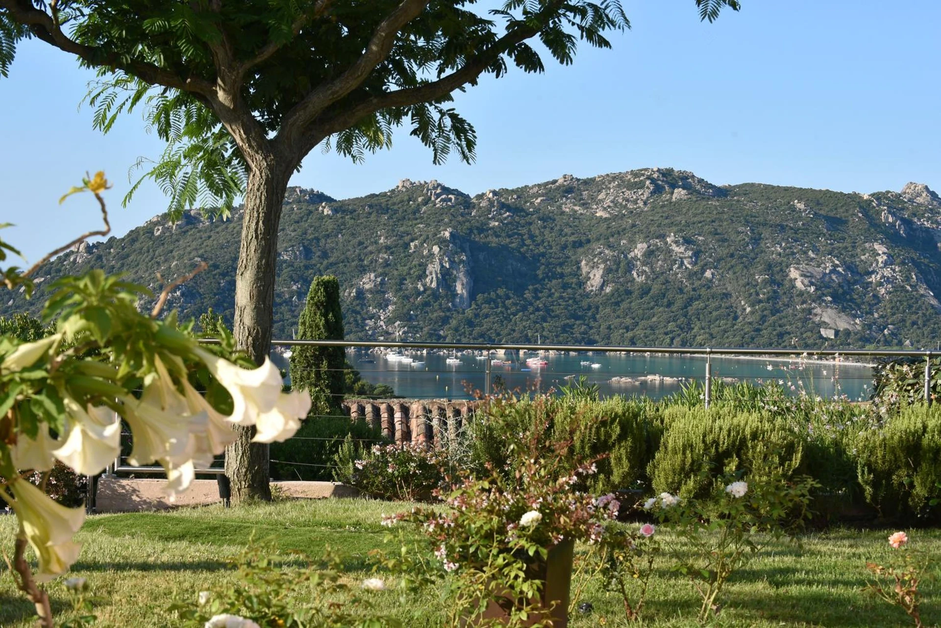 Ambiance de travail pour séminaire d'entreprise à Hôtel Alivi Di Santa Giulia - Porto-Vecchio