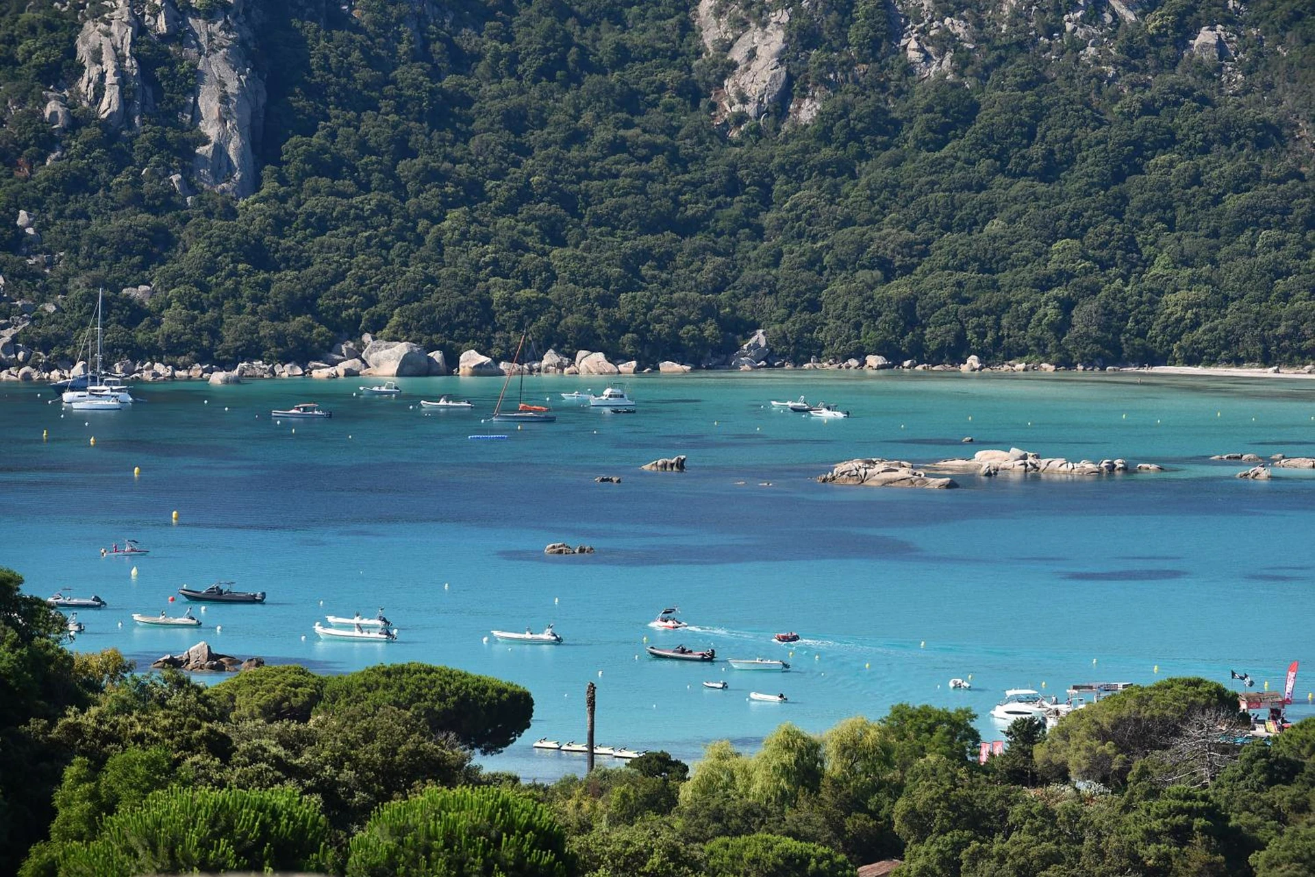 Lieu convivial pour un séminaire d'entreprise à Hôtel Alivi Di Santa Giulia - Porto-Vecchio - En savoir plus 
