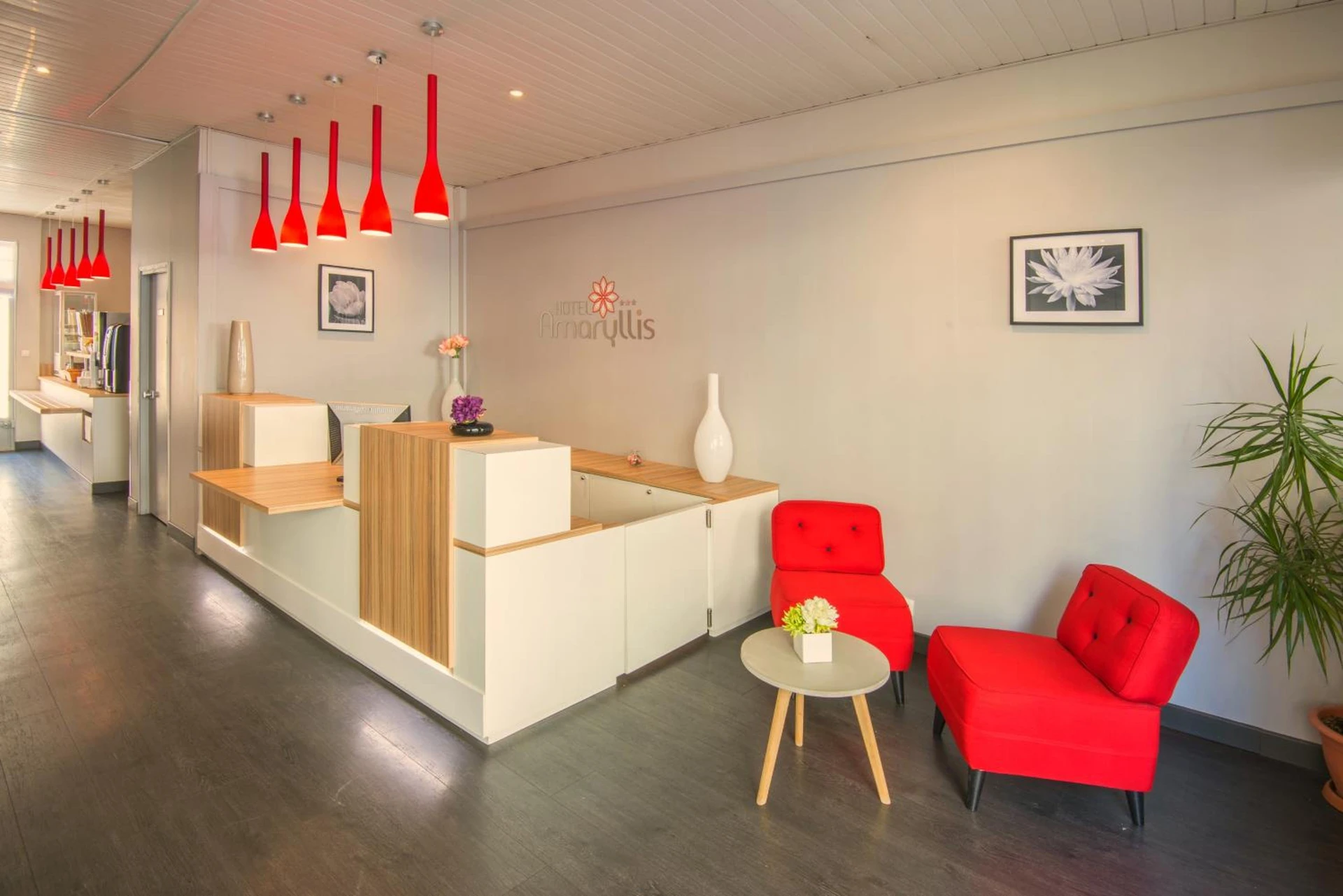 Chambre à Hôtel Amaryllis - Organiser un séminaire d'entreprise à Nice