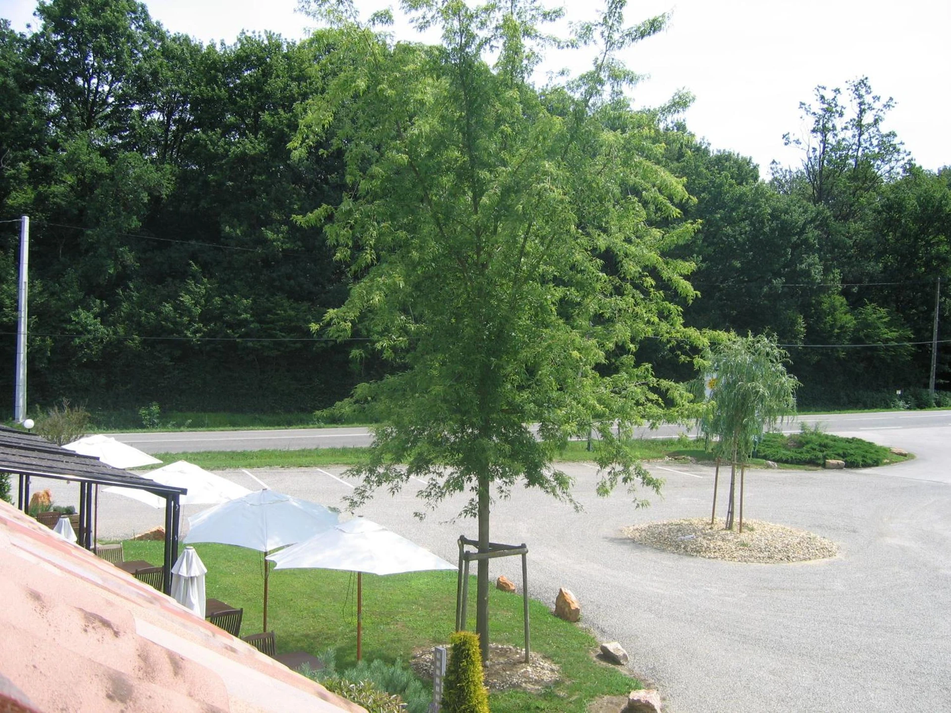 Organiser un séminaire d'entreprise : Hôtel Barbier des Bois à bruailles