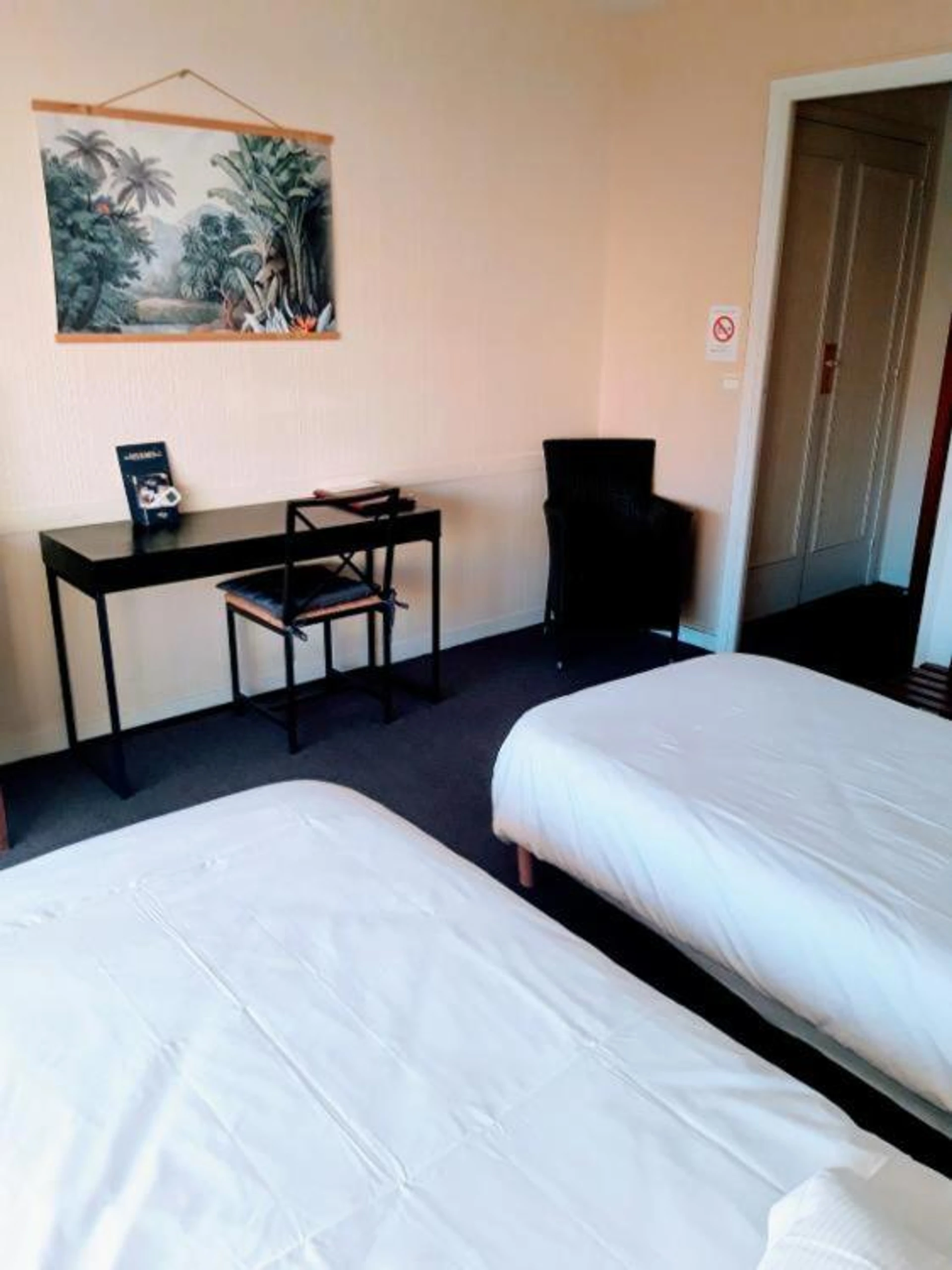 Magnifique chambre pour un séminaire d'entreprise à Hôtel Restaurant Brasilia - Cagnes-sur-Mer