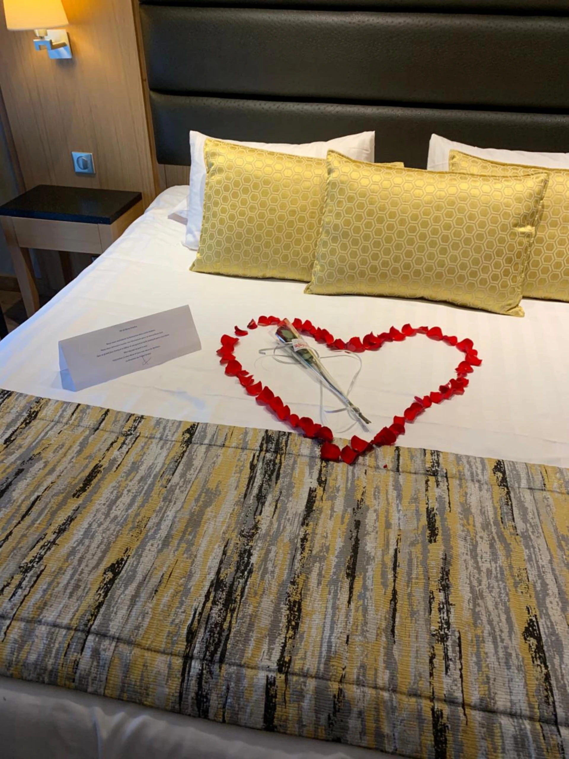 Magnifique chambre pour un séminaire d'entreprise à Hotel Bristol - Mulhouse