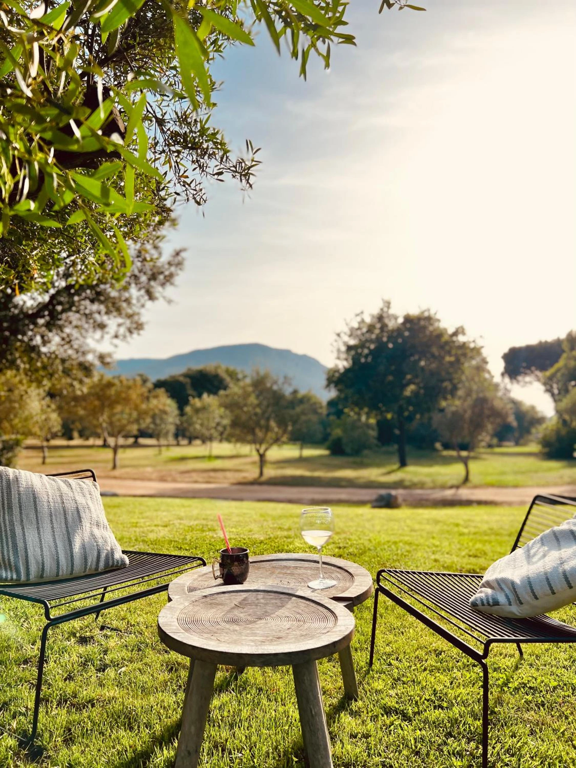 Lieu convivial pour un séminaire d'entreprise à Casa Legna - Pigna - En savoir plus 