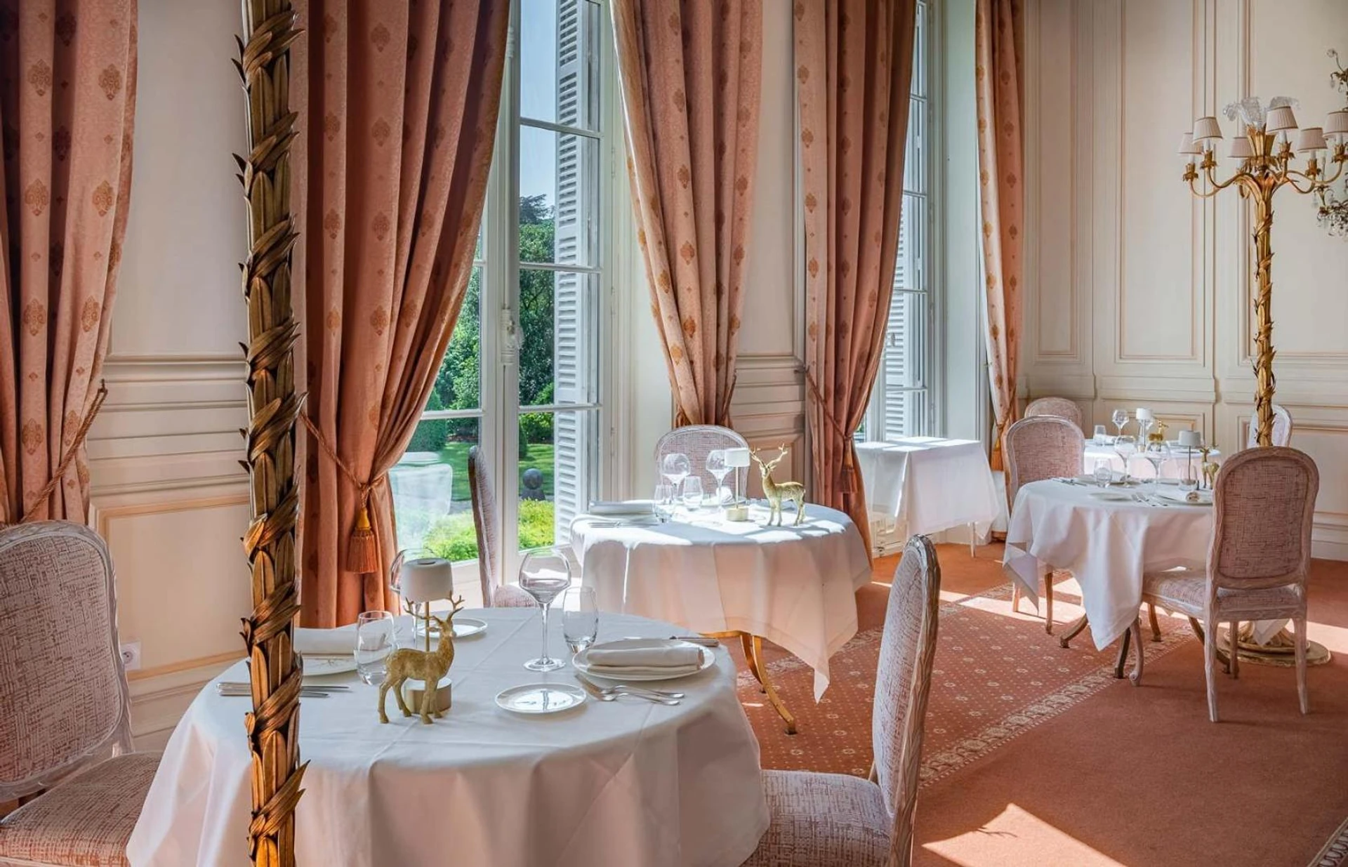 Organiser un séminaire d'entreprise : Chateau De Rochecotte à saint-patrice