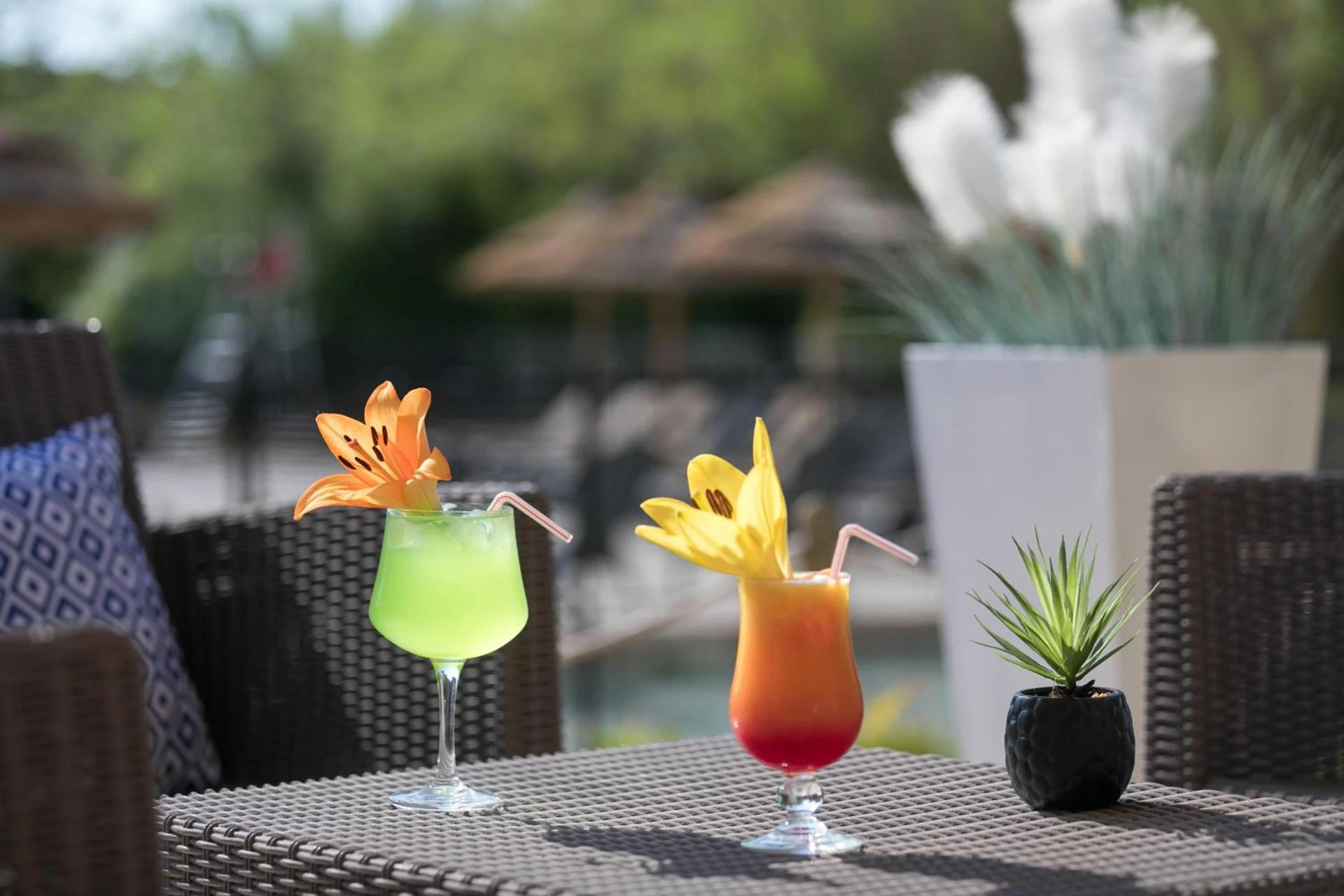 Organiser un séminaire d'entreprise : Hotel Club Le Capet à sainte-maxime
