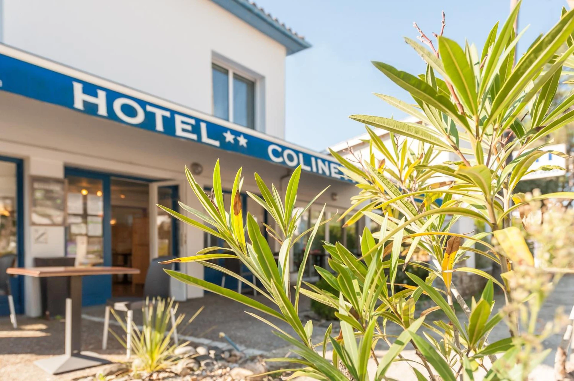 Organiser un séminaire d'entreprise : Hotel Colinette à saint-georges-de-didonne