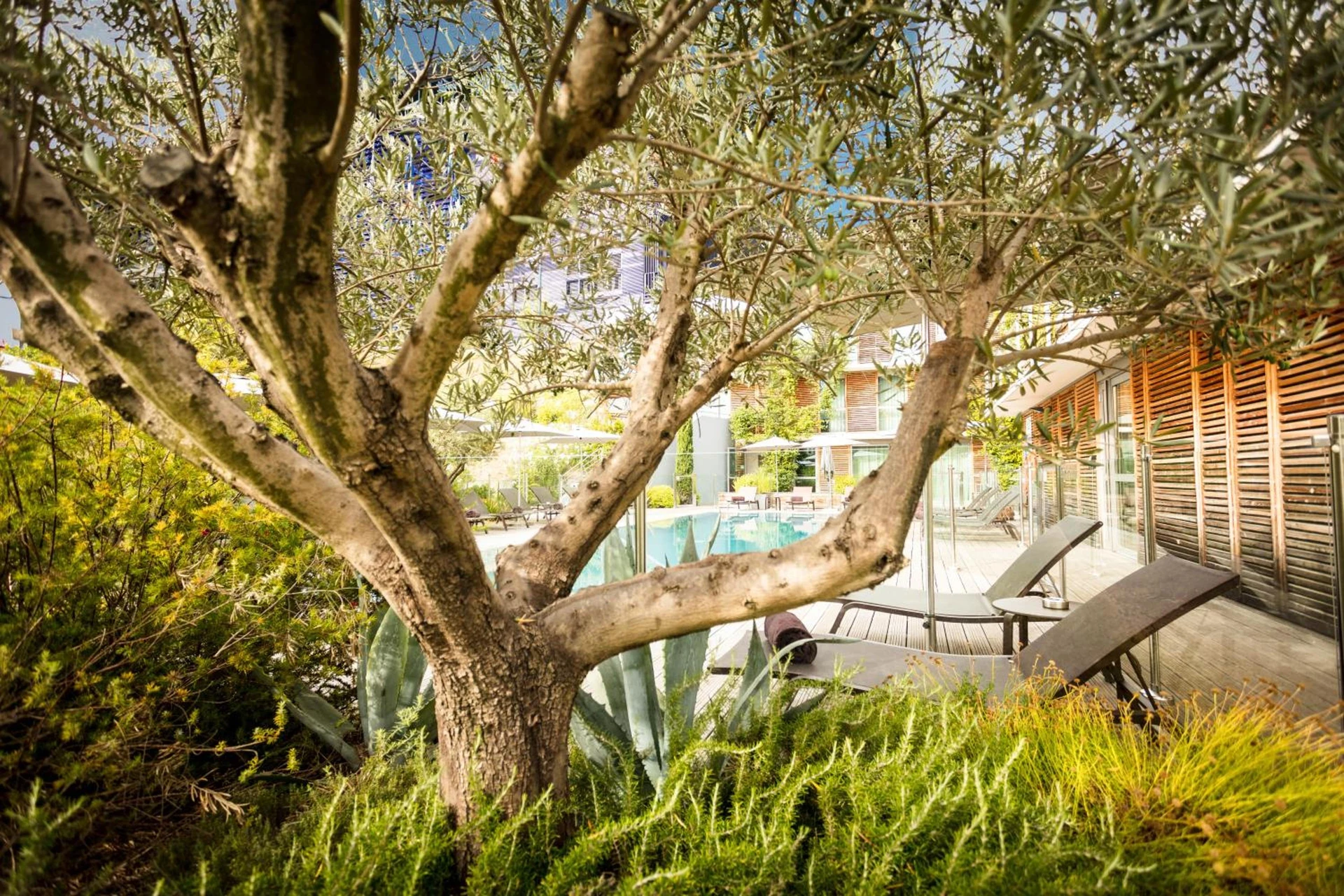 Ambiance de travail pour séminaire d'entreprise à Courtyard by Marriott Montpellier - Montpellier