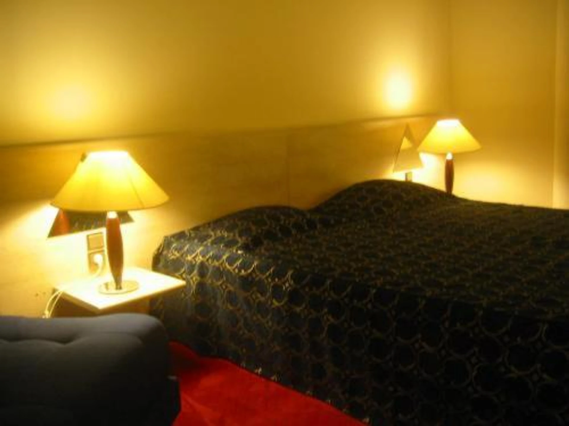 Chambre disponible pour un séminaire d'entreprise à Zénith d'Orléans - Orléans