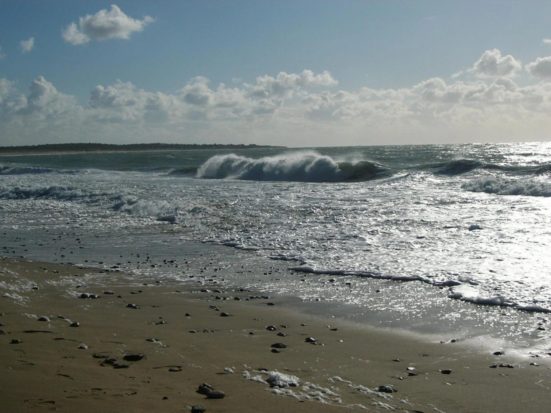 Organiser un séminaire d'entreprise : Hôtel de la Petite Plage à saint-georges-d-oleron