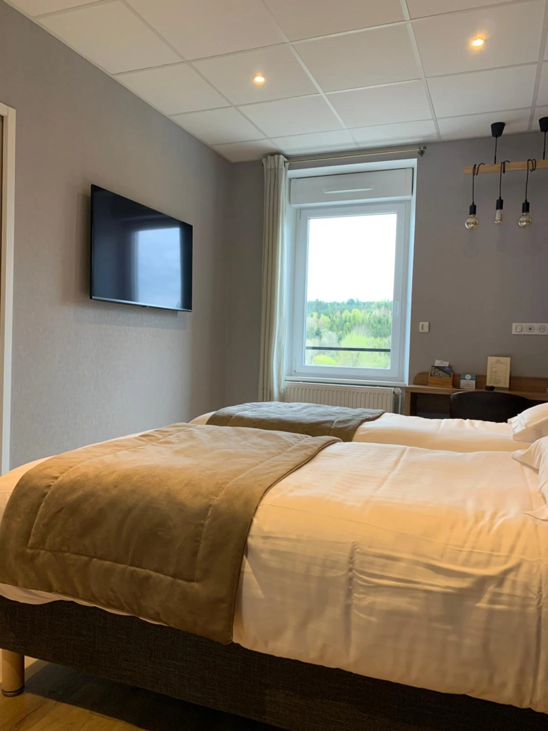 Chambre disponible pour un séminaire d'entreprise à Hôtel De La Plage - Le Chambon-sur-Lignon