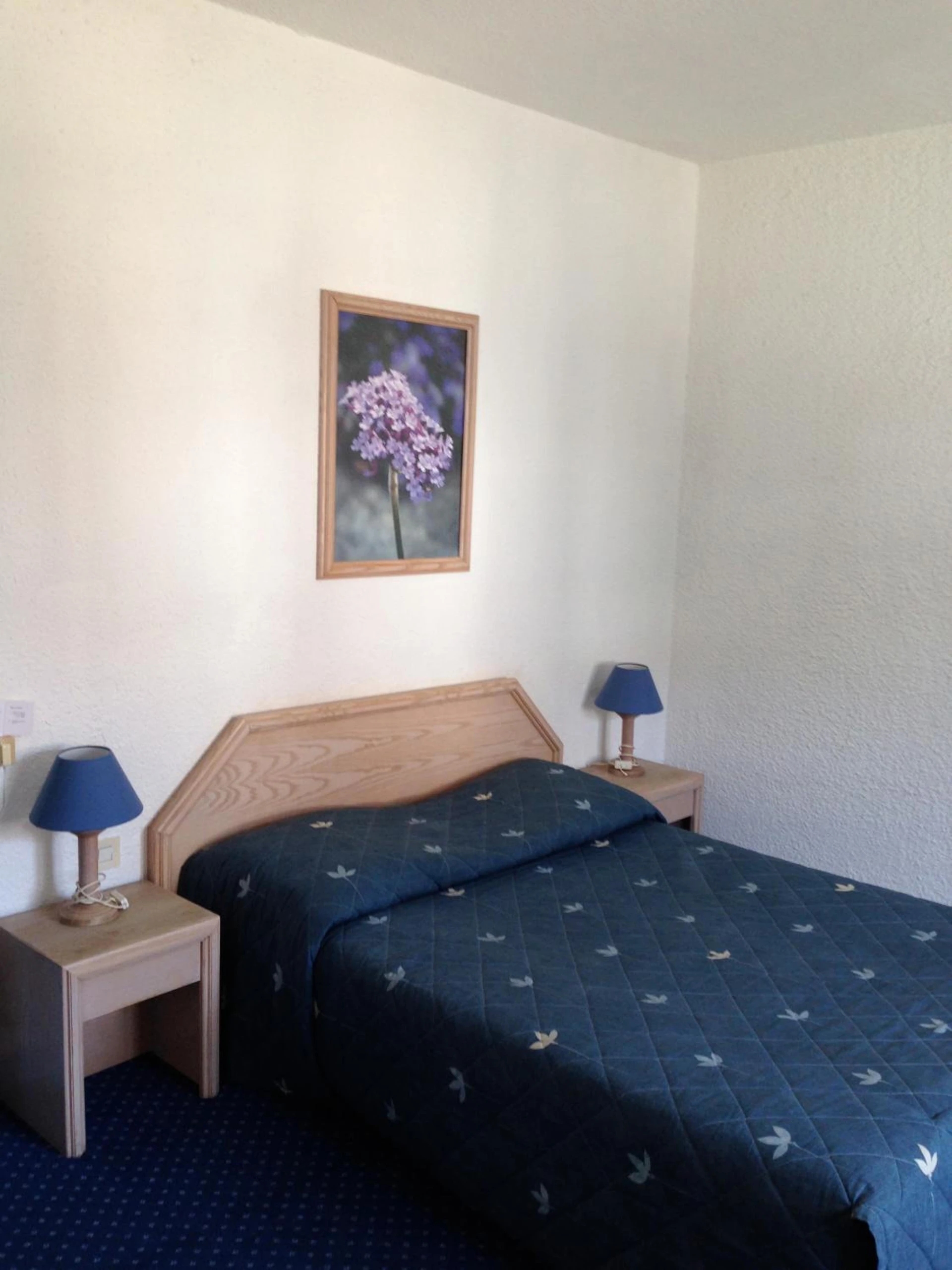 Chambre disponible pour un séminaire d'entreprise à Hôtel de La Poste - Douvaine