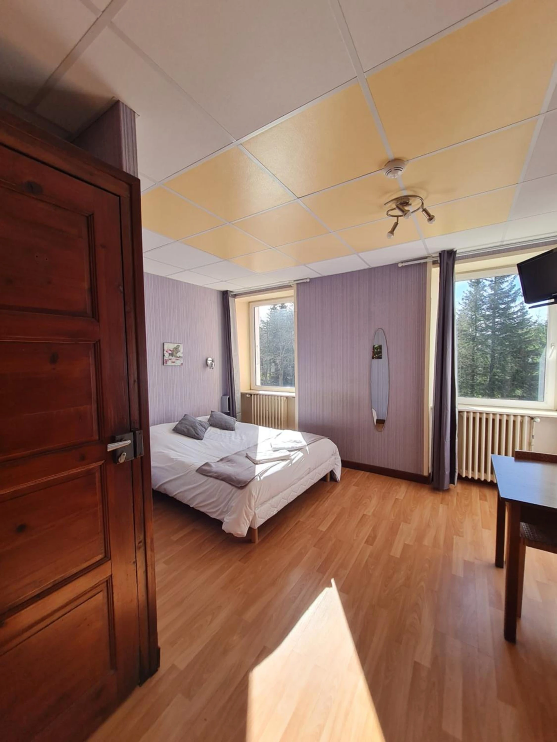 Chambre disponible pour un séminaire d'entreprise à Hôtel des Cévennes - Mézilhac