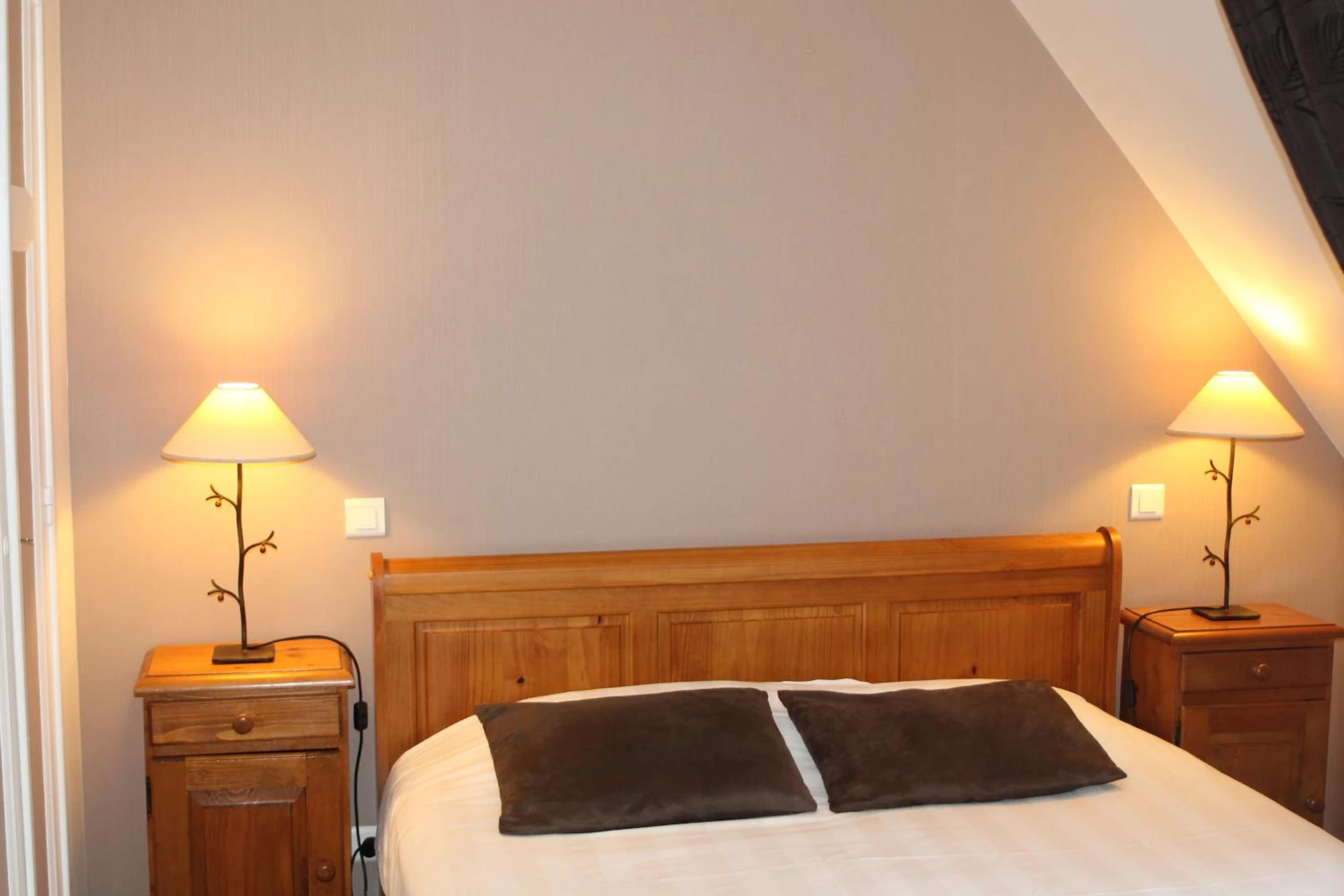 Chambre disponible pour un séminaire d'entreprise à Hôtel des Chazes - Saint-Jacques-des-Blats