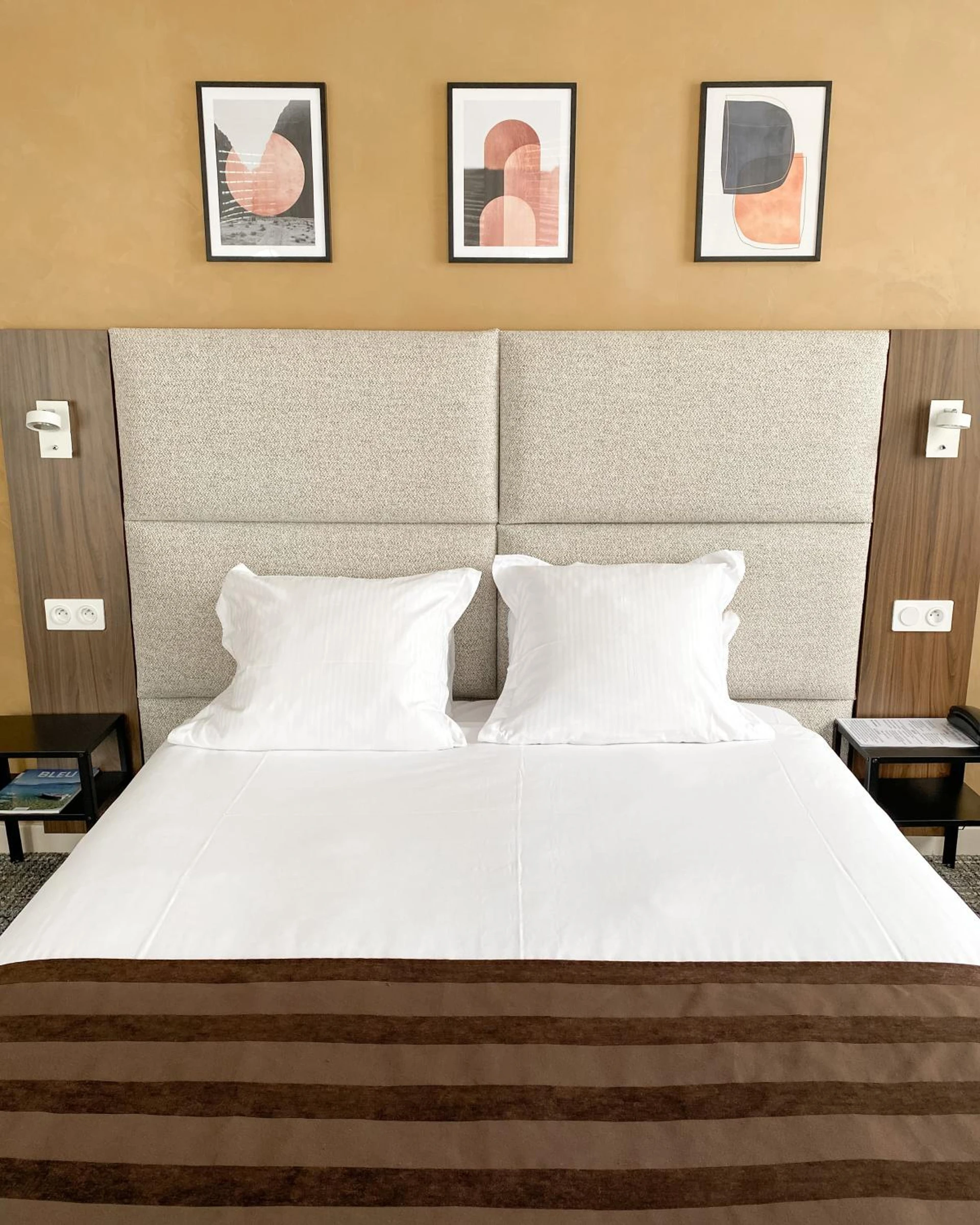 Chambre disponible pour un séminaire d'entreprise à Hotel des Eaux - Aix-les-Bains