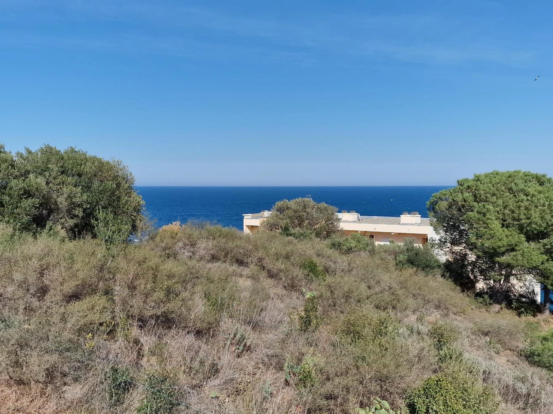 Organiser un séminaire d'entreprise : Appartement avec Terrasse, WIFI, Parking Privé, à 2min de la Plage des Elmes - Banyuls-sur-Mer - FR-1-309-130 à banyuls-sur-mer