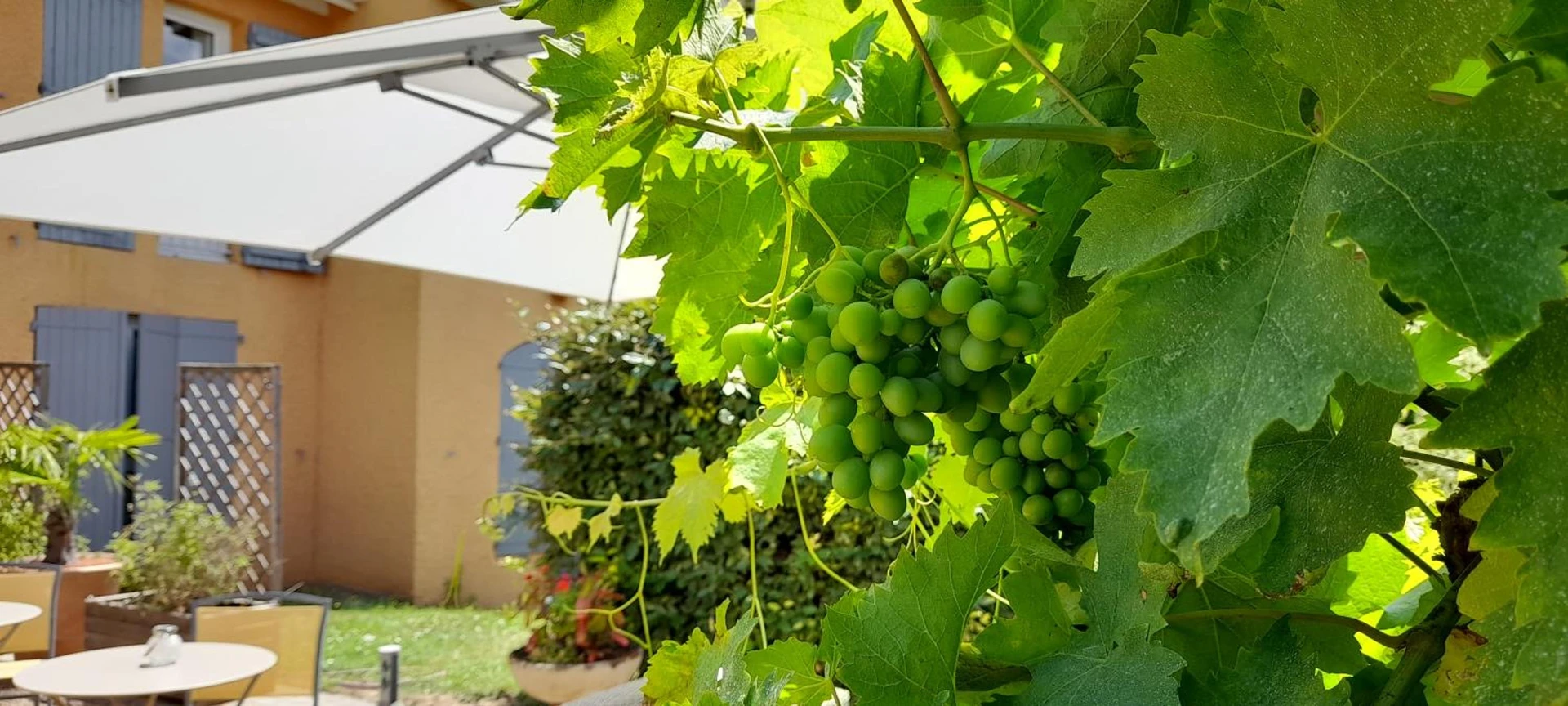 Organiser un séminaire d'entreprise : Hôtel des Vignes à julienas