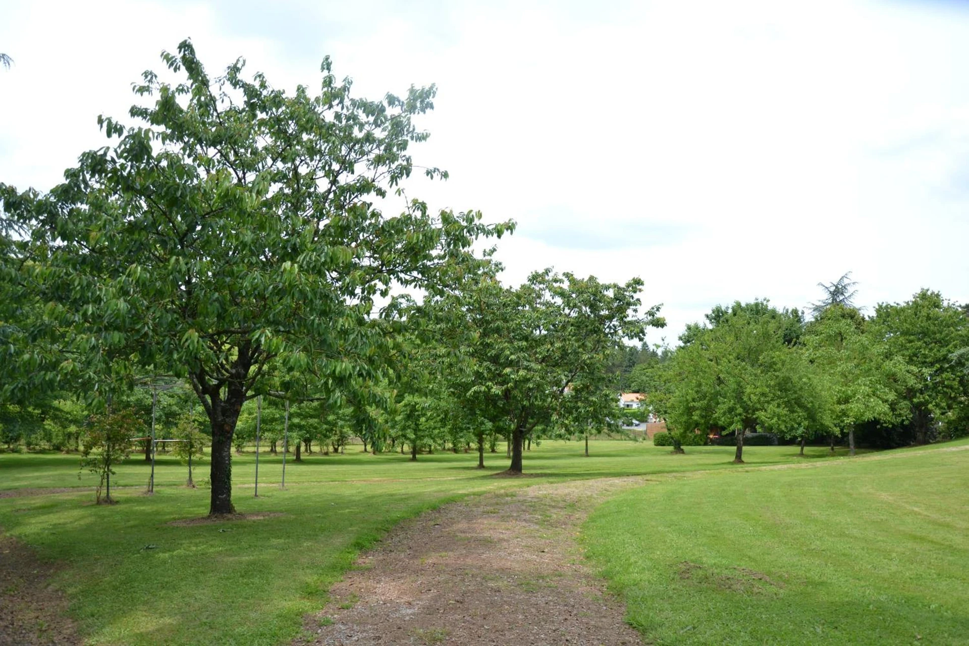 Organiser un séminaire d'entreprise : Domaine du Bocage à chavagnes-en-paillers