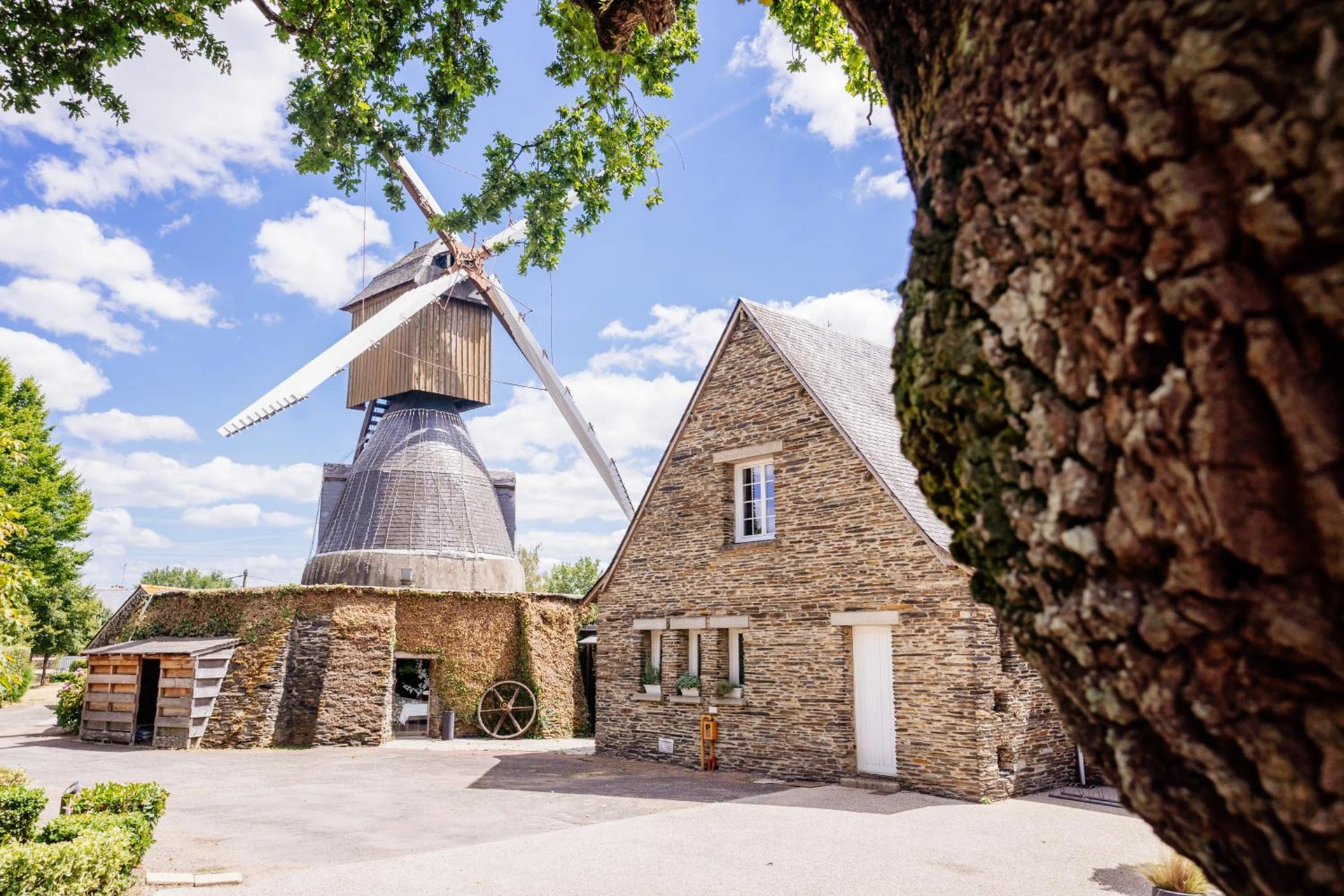 Organiser un séminaire d'entreprise : Logis Domaine du Moulin Cavier à avrille