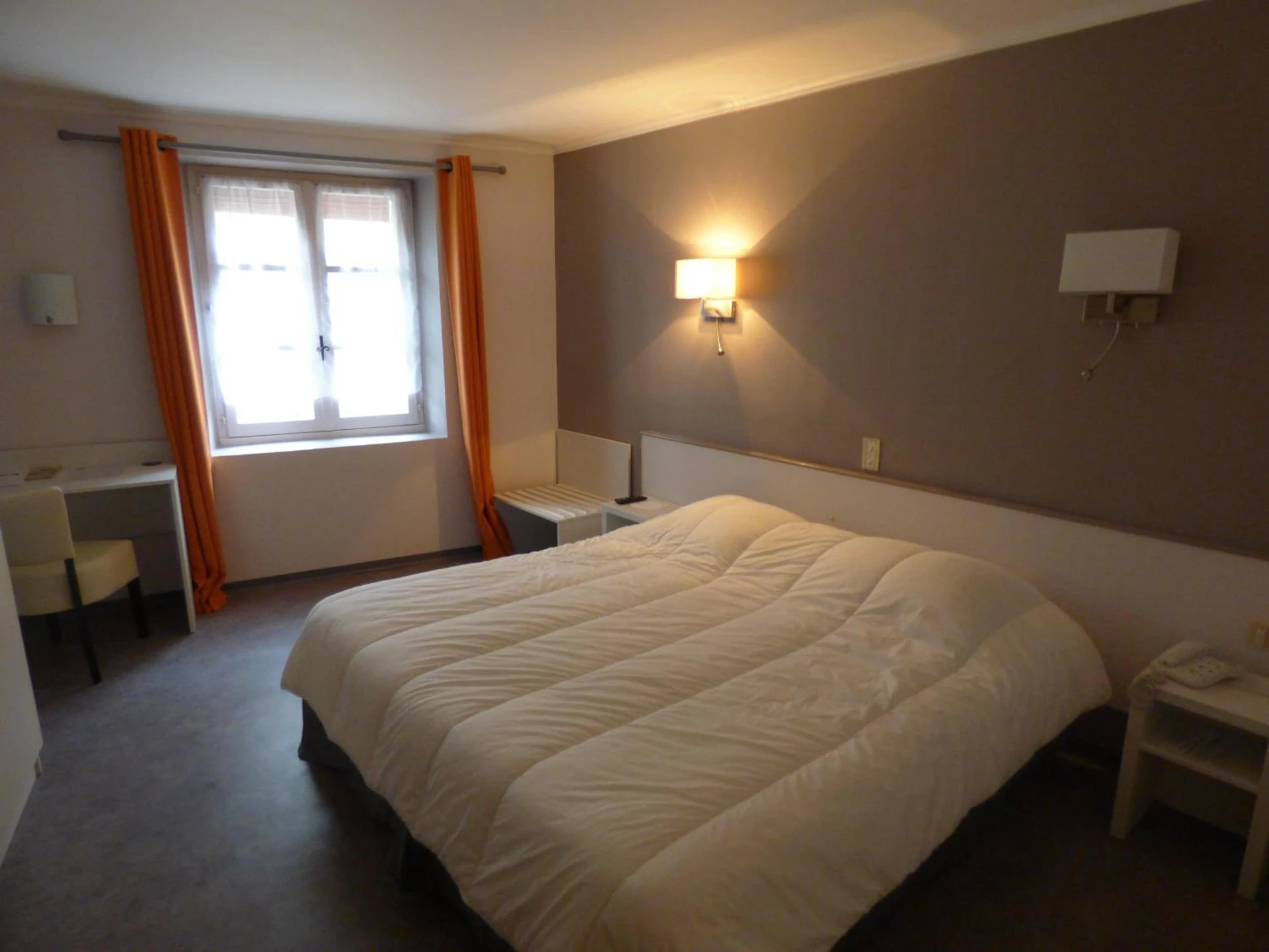Organiser un séminaire d'entreprise : Hotel du Centre à pierrelatte