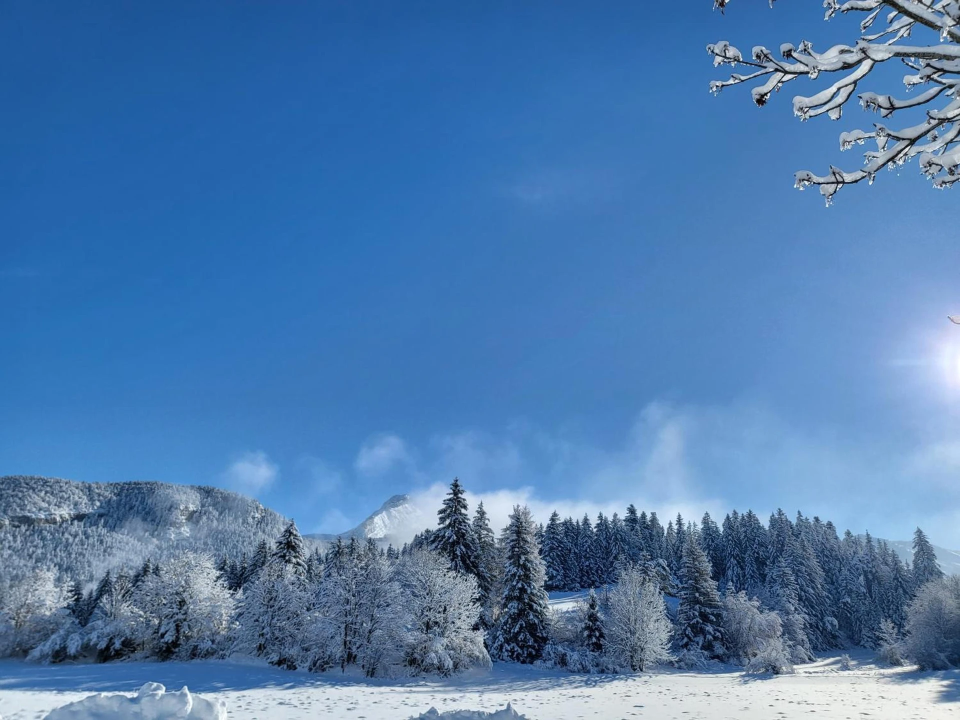Organiser un séminaire d'entreprise : Hotel du Golf à correncon-en-vercors