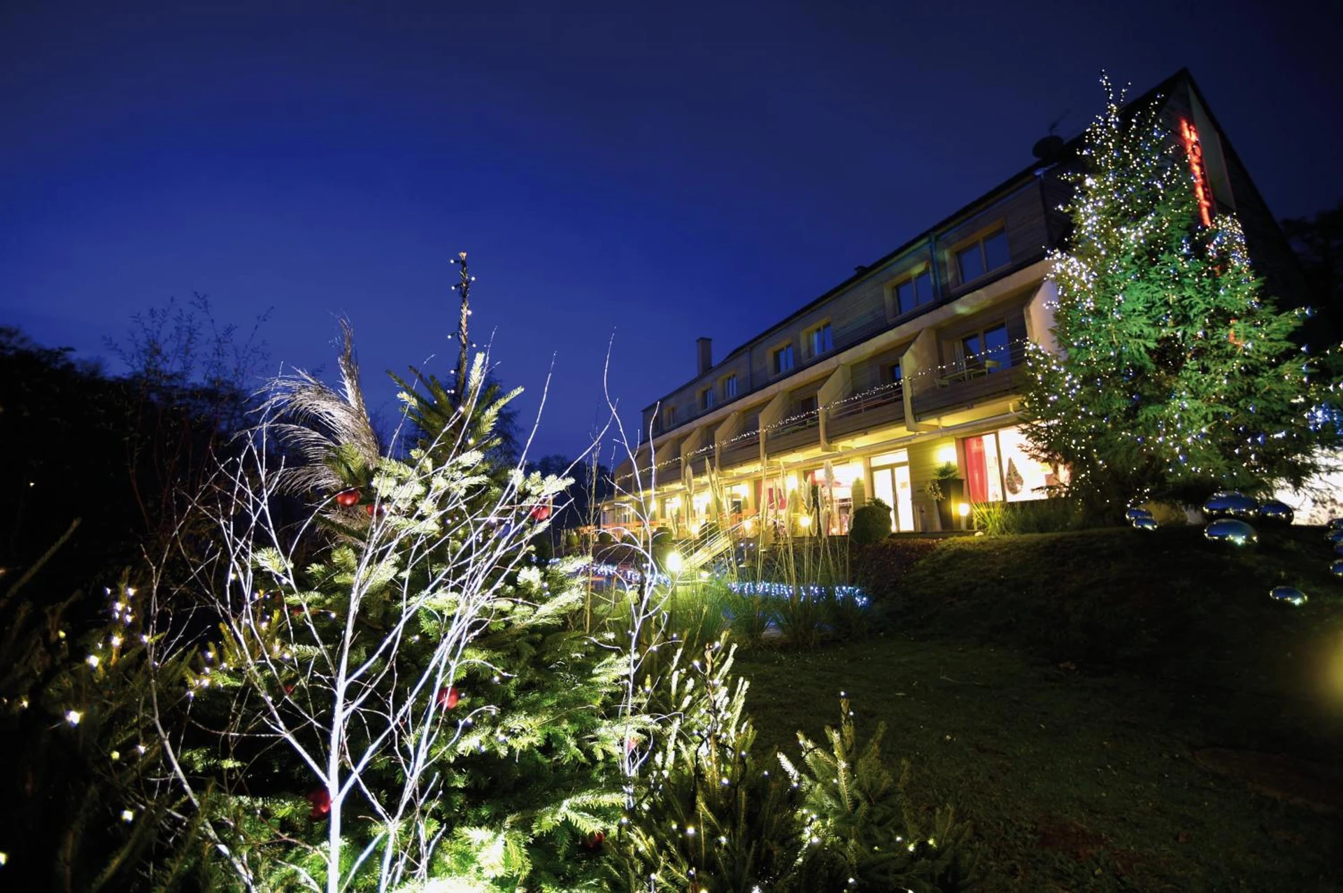 Organiser un séminaire d'entreprise : Hotel Du Lac à guebwiller